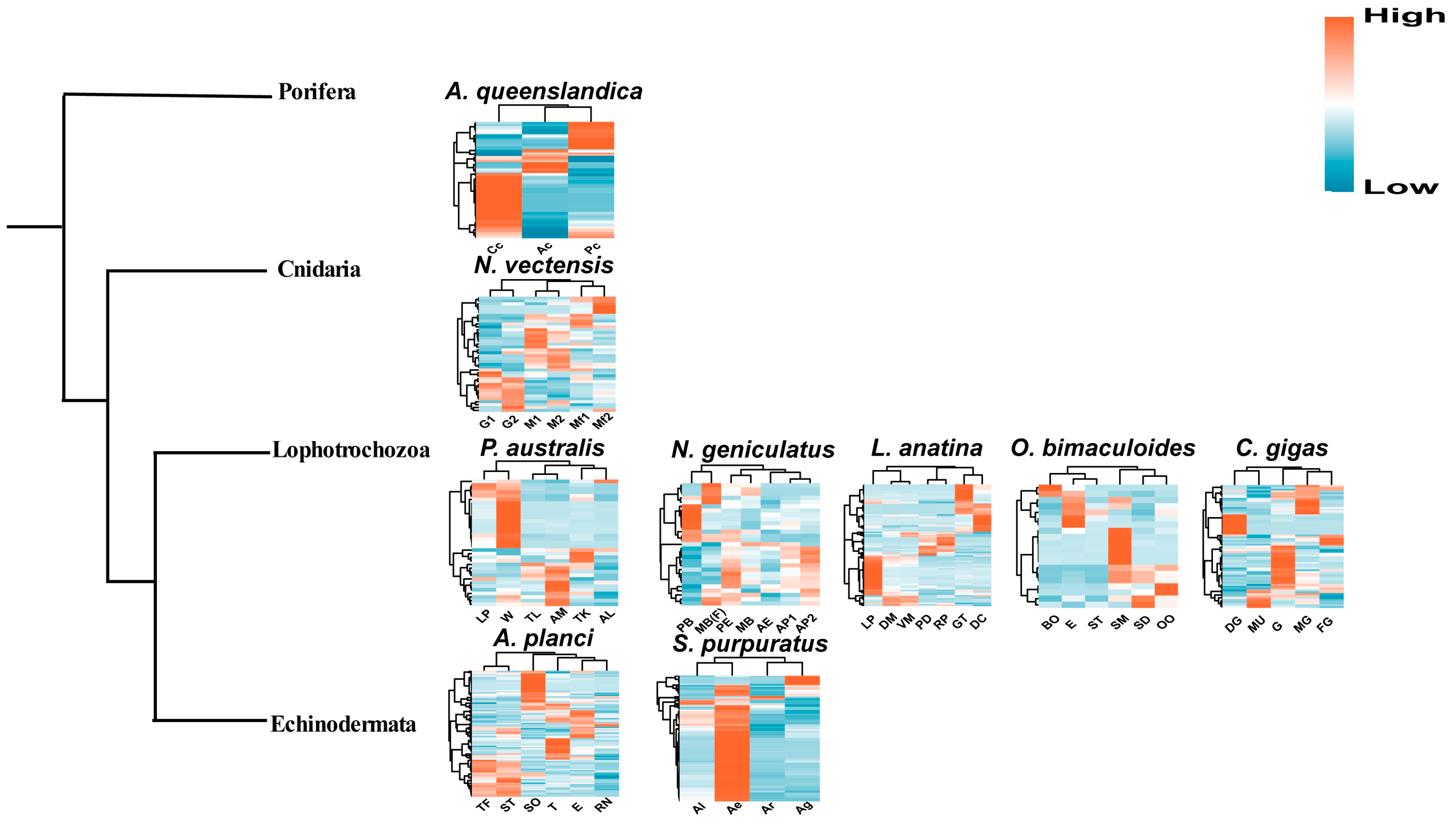 Ijms 25 01515 g002 Ijms 25 01515 g002