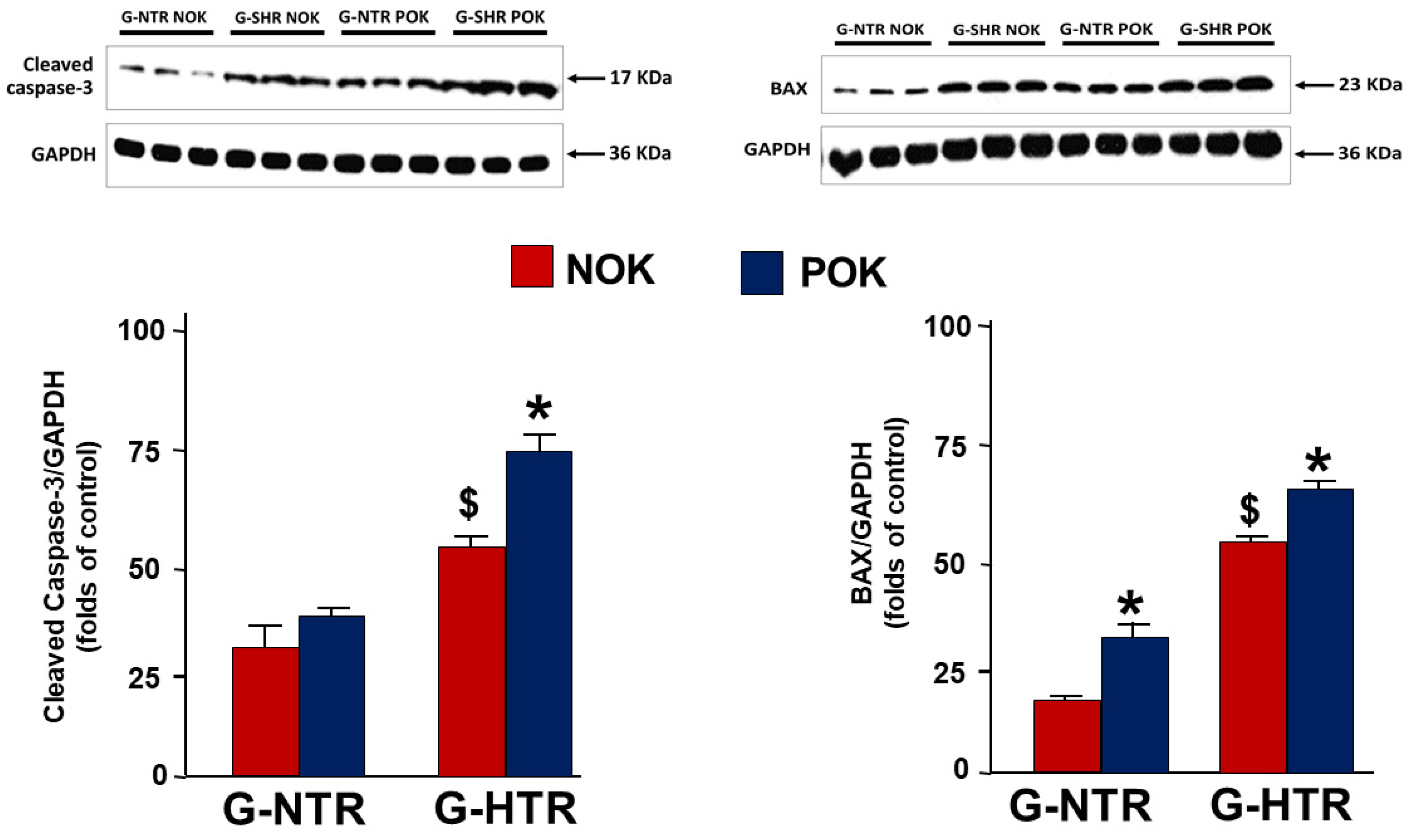 Ijms 25 01540 g004 Ijms 25 01540 g004