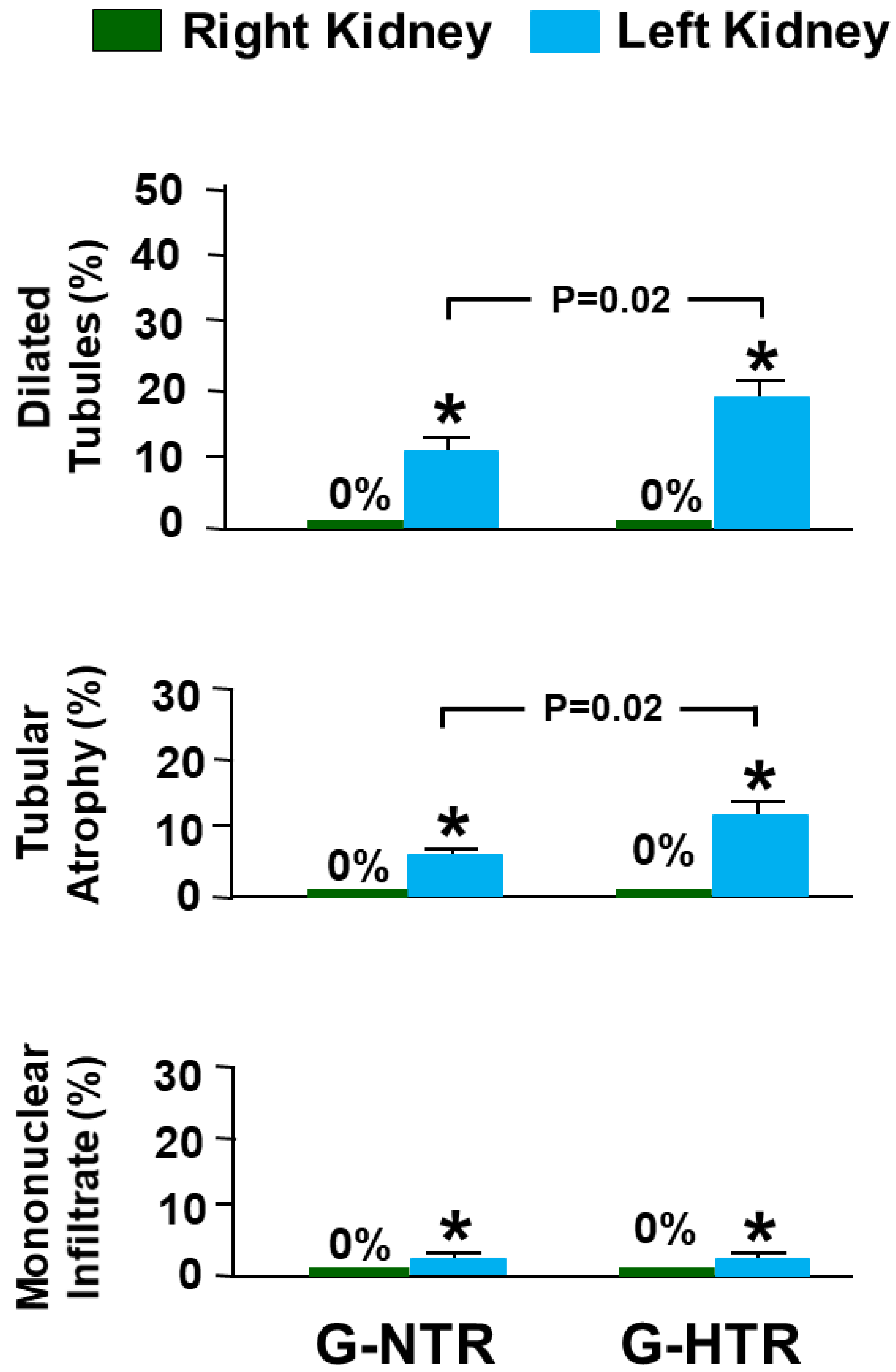 Ijms 25 01540 g006 Ijms 25 01540 g006