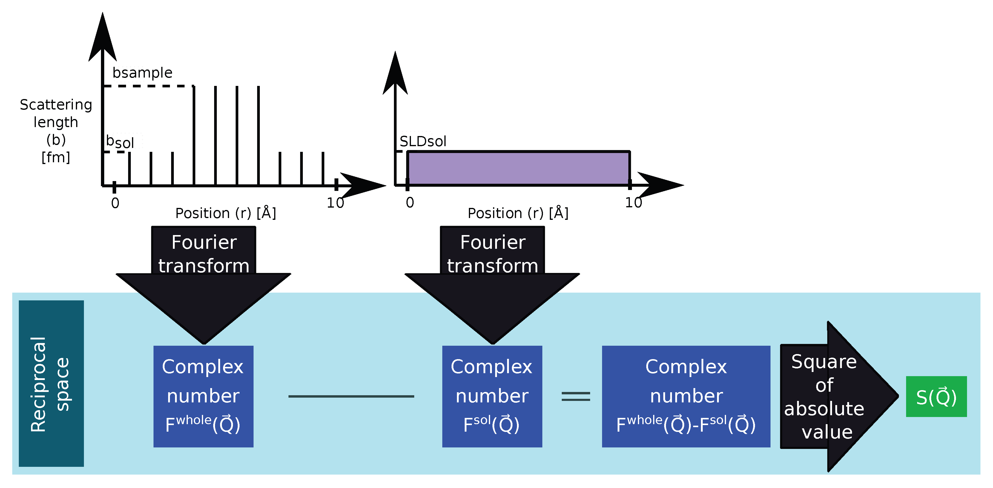 Ijms 25 01547 g004 Ijms 25 01547 g004