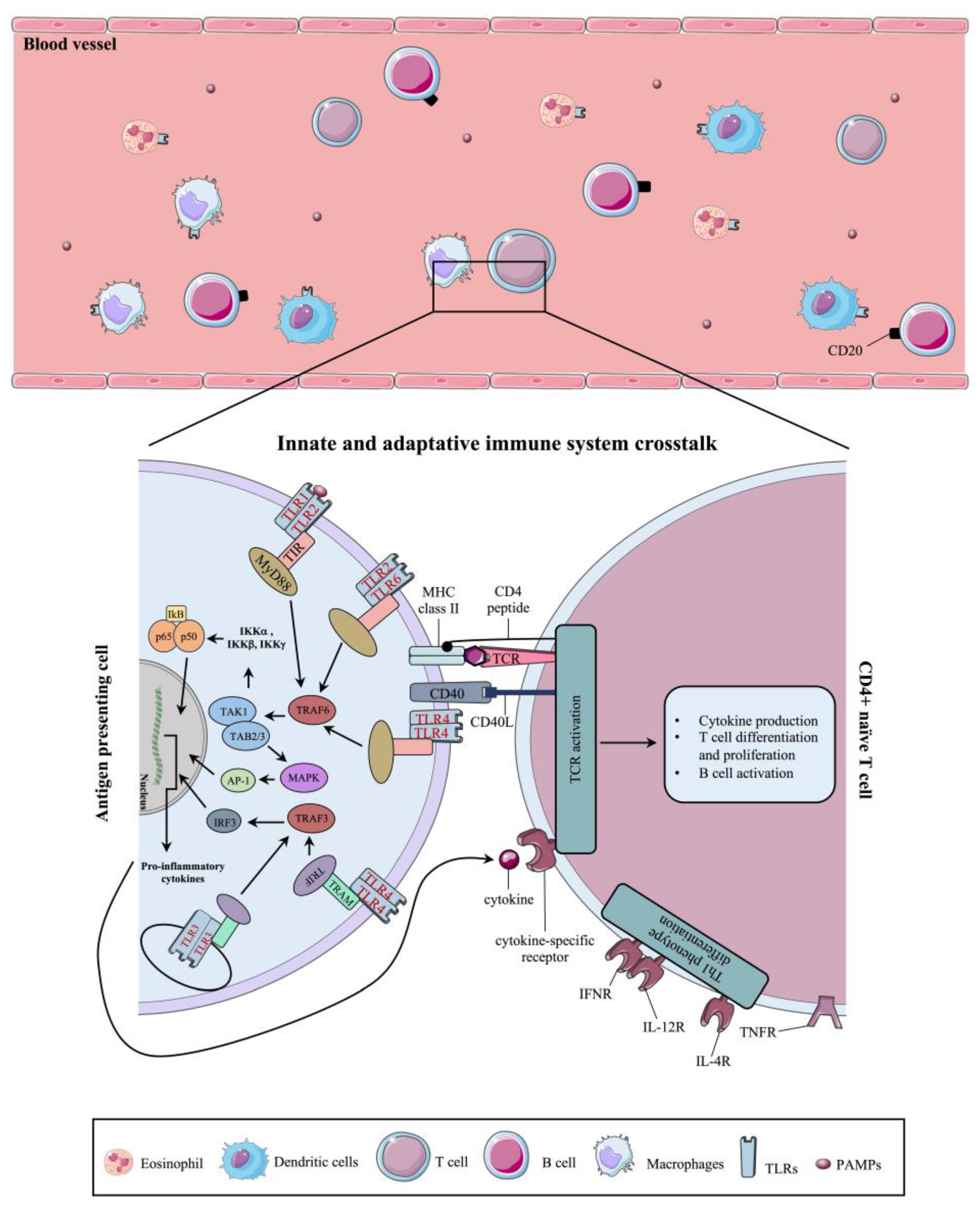 Ijms 25 01553 g002 Ijms 25 01553 g002