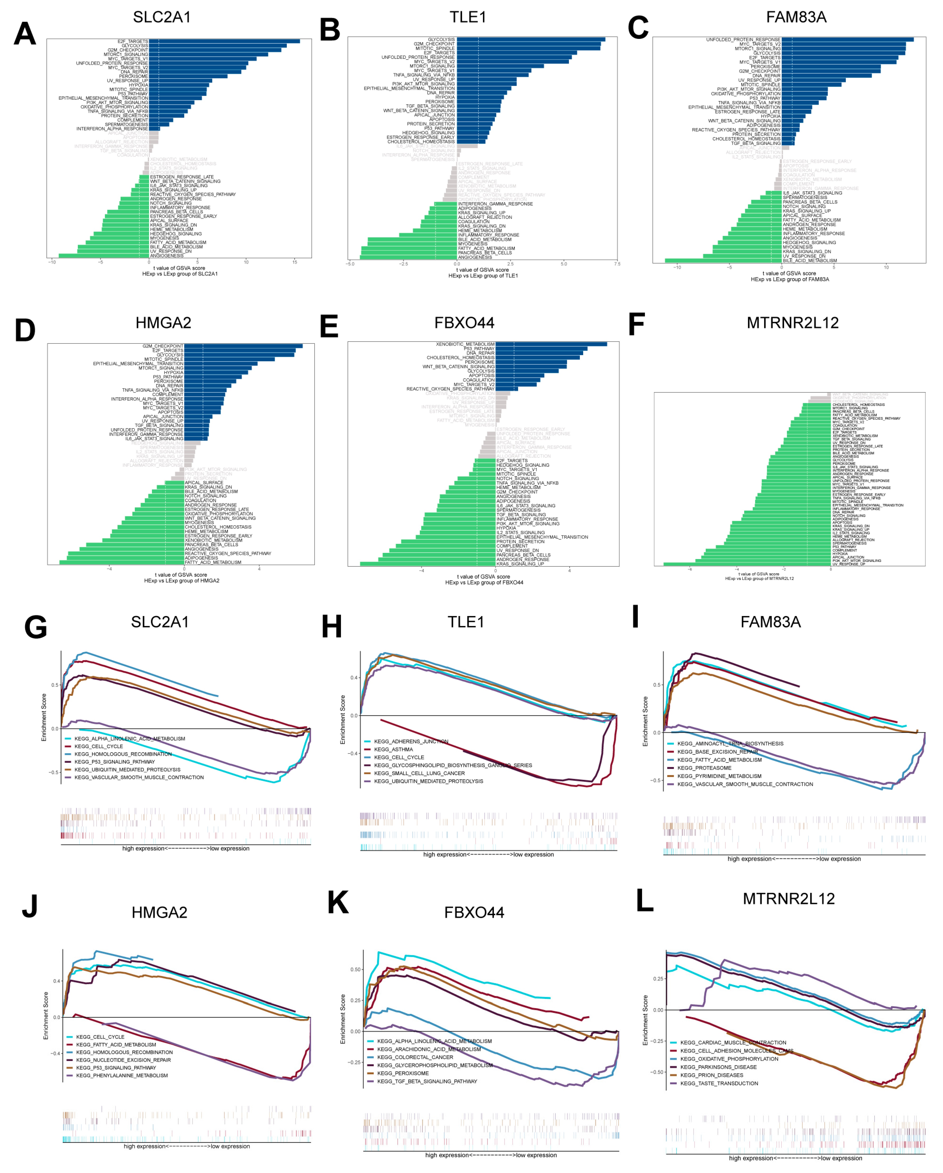 Ijms 25 01555 g004 Ijms 25 01555 g004