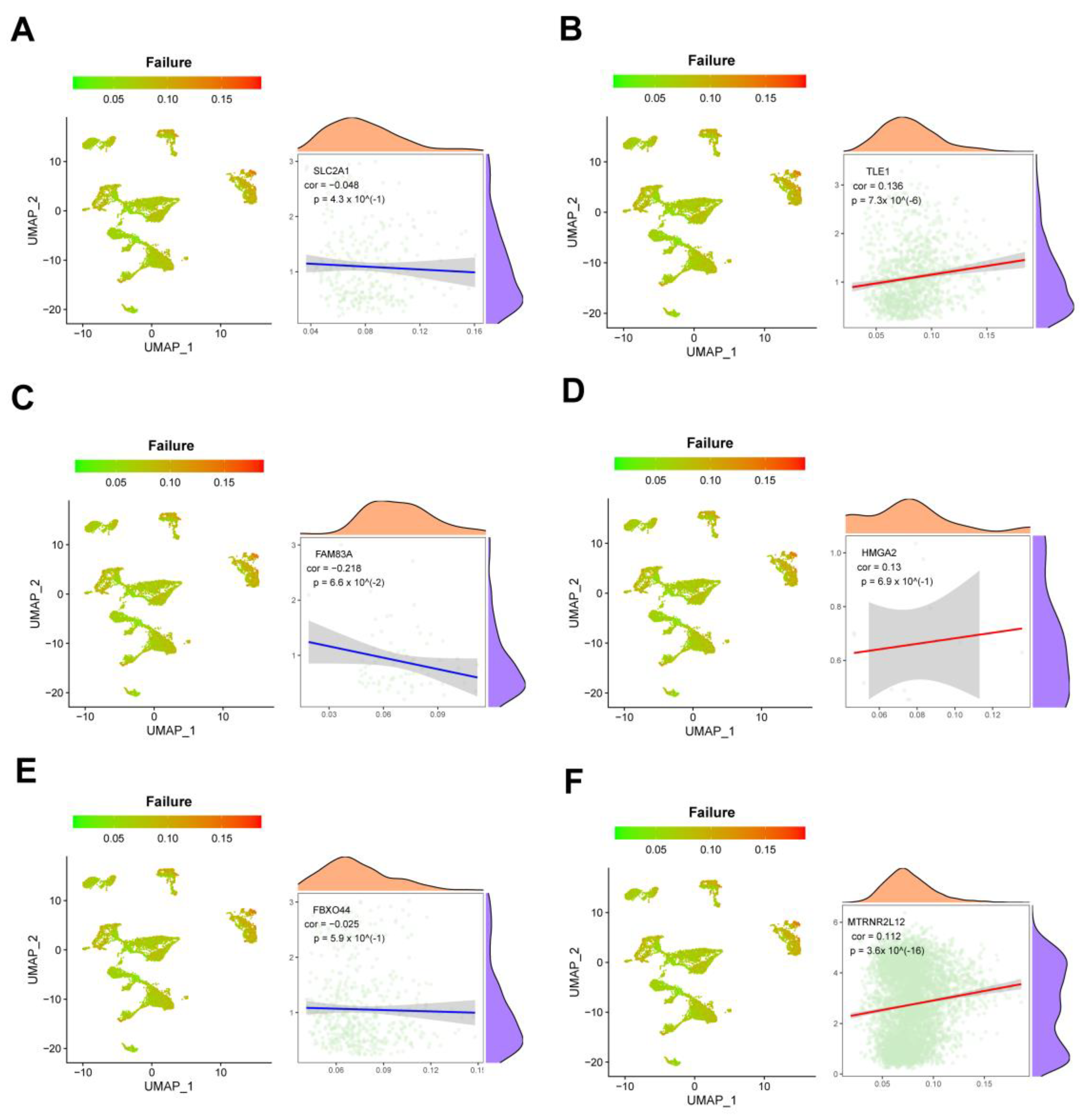 Ijms 25 01555 g011 Ijms 25 01555 g011
