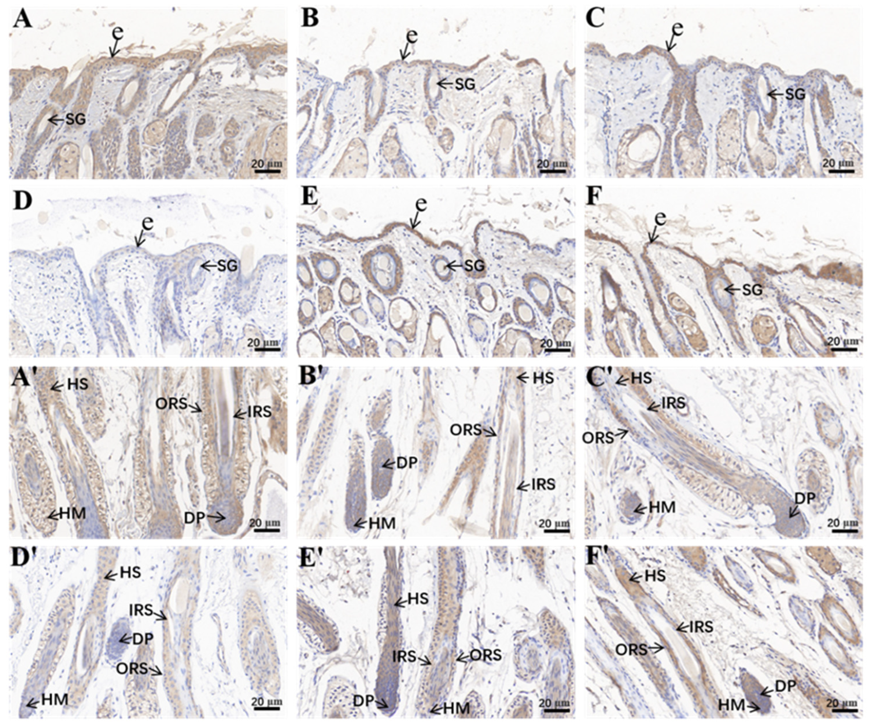Ijms 25 01594 g001