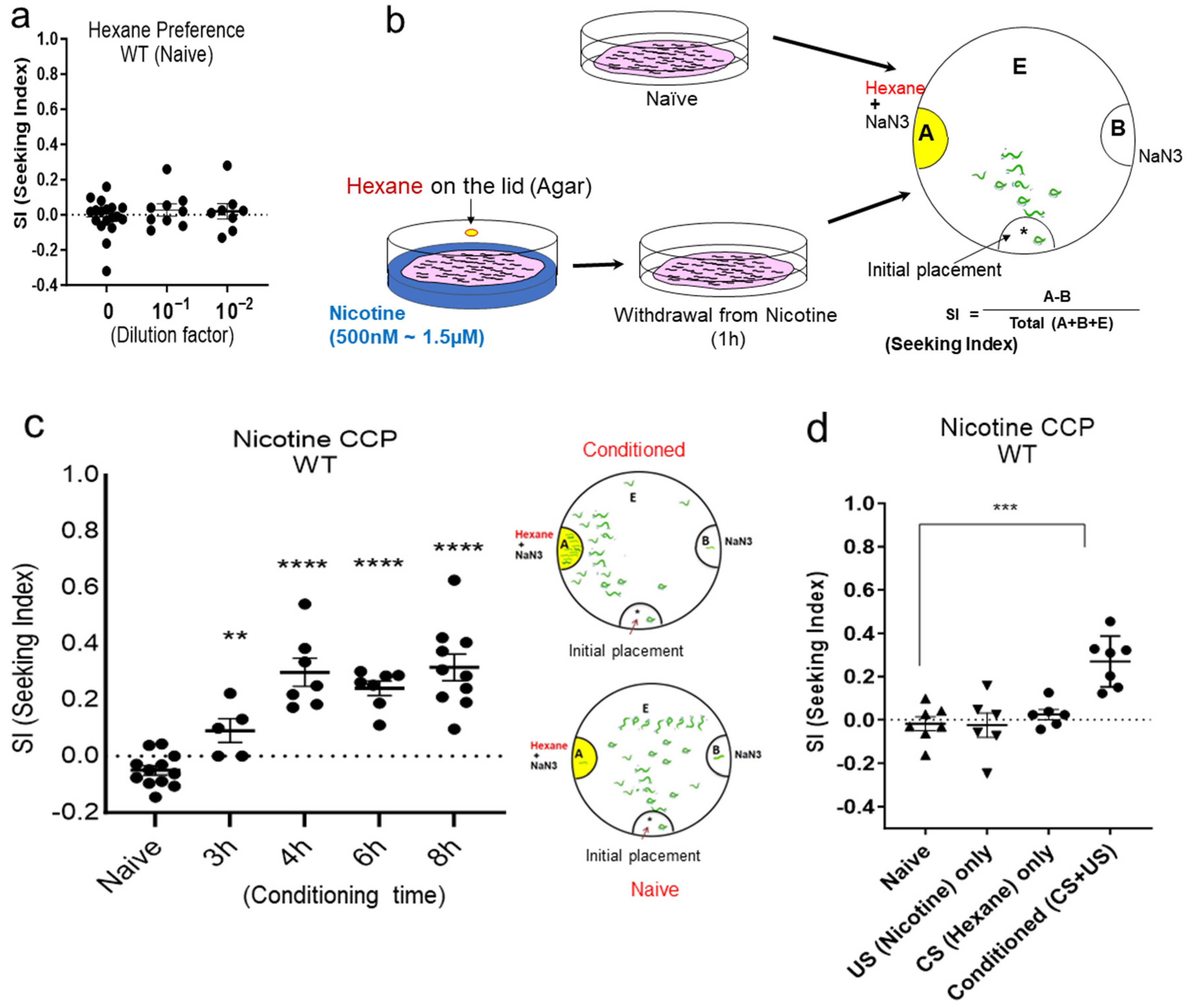 Ijms 25 01634 g001 Ijms 25 01634 g001