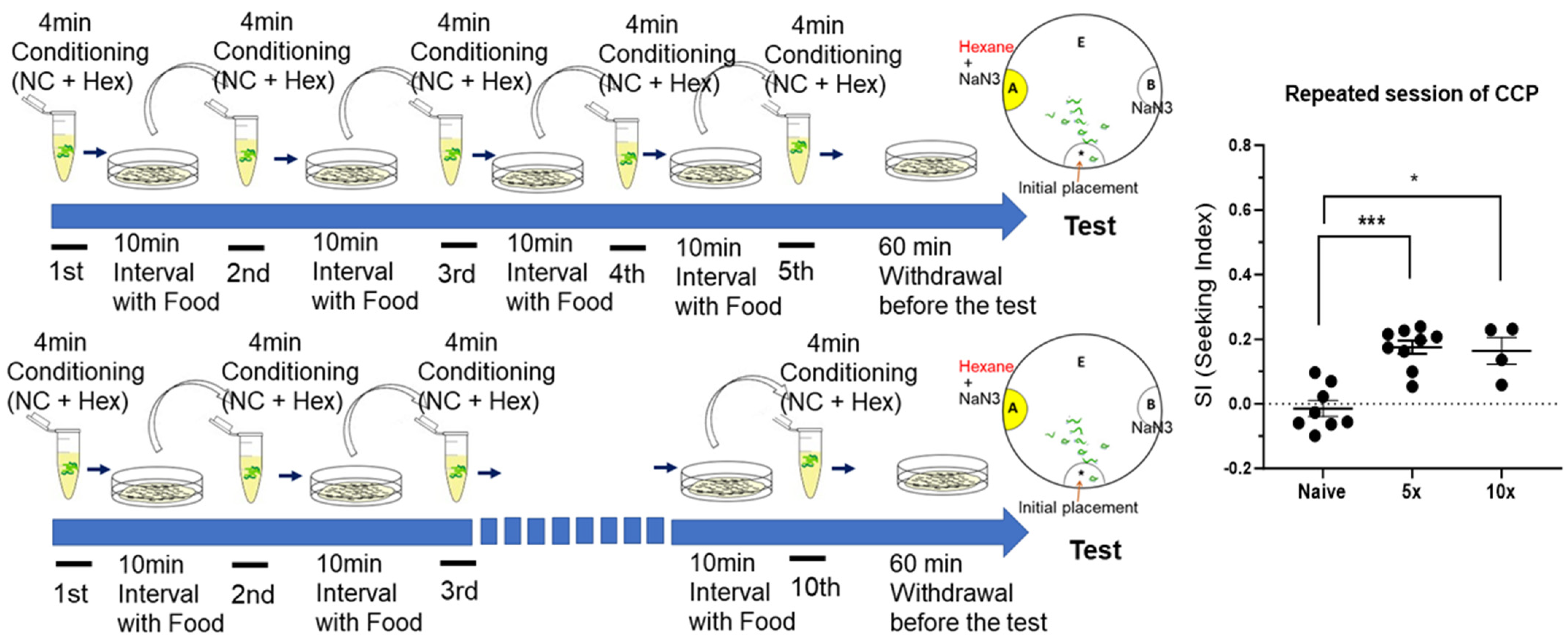 Ijms 25 01634 g004 Ijms 25 01634 g004