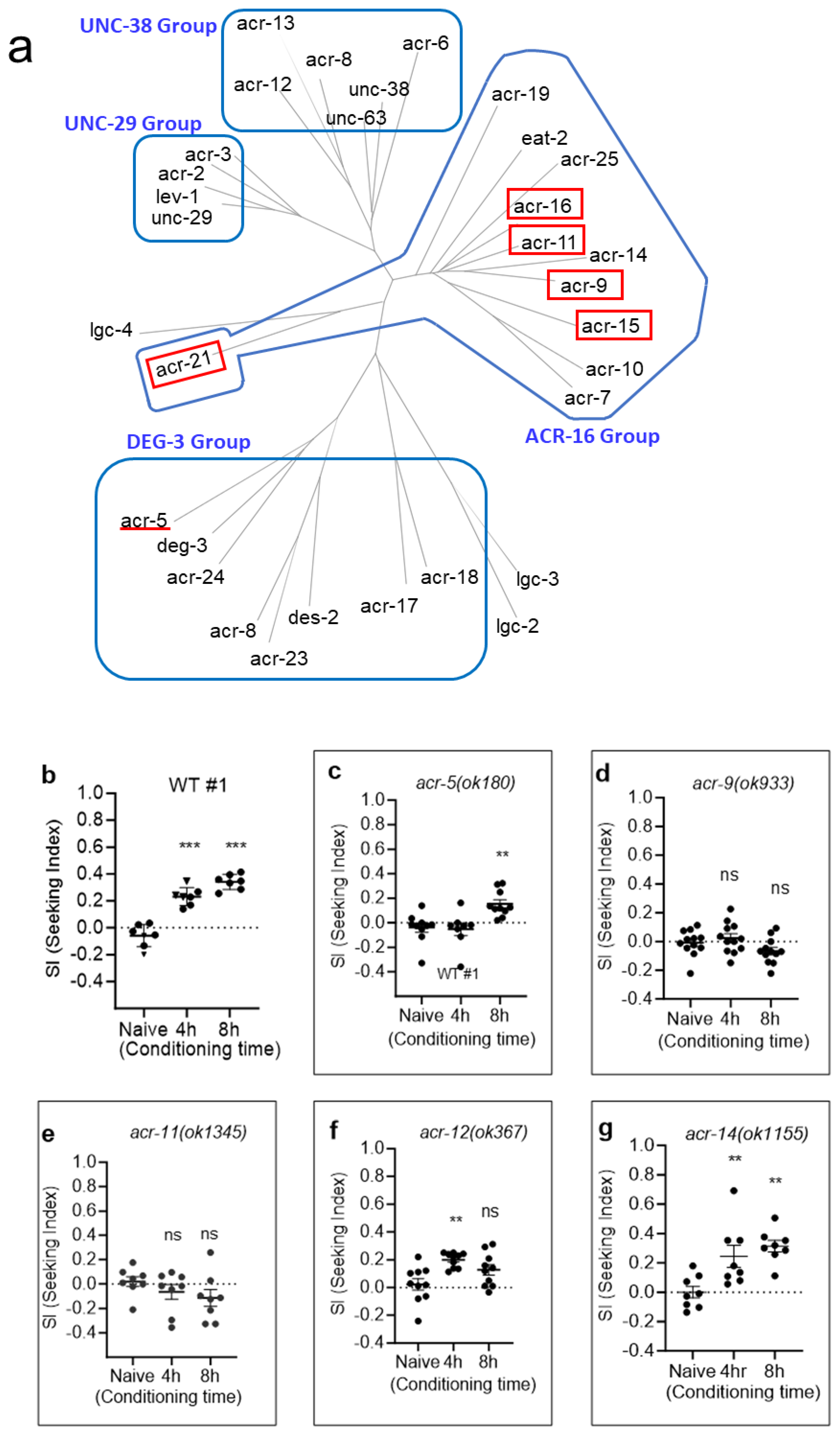 Ijms 25 01634 g005a Ijms 25 01634 g005a
