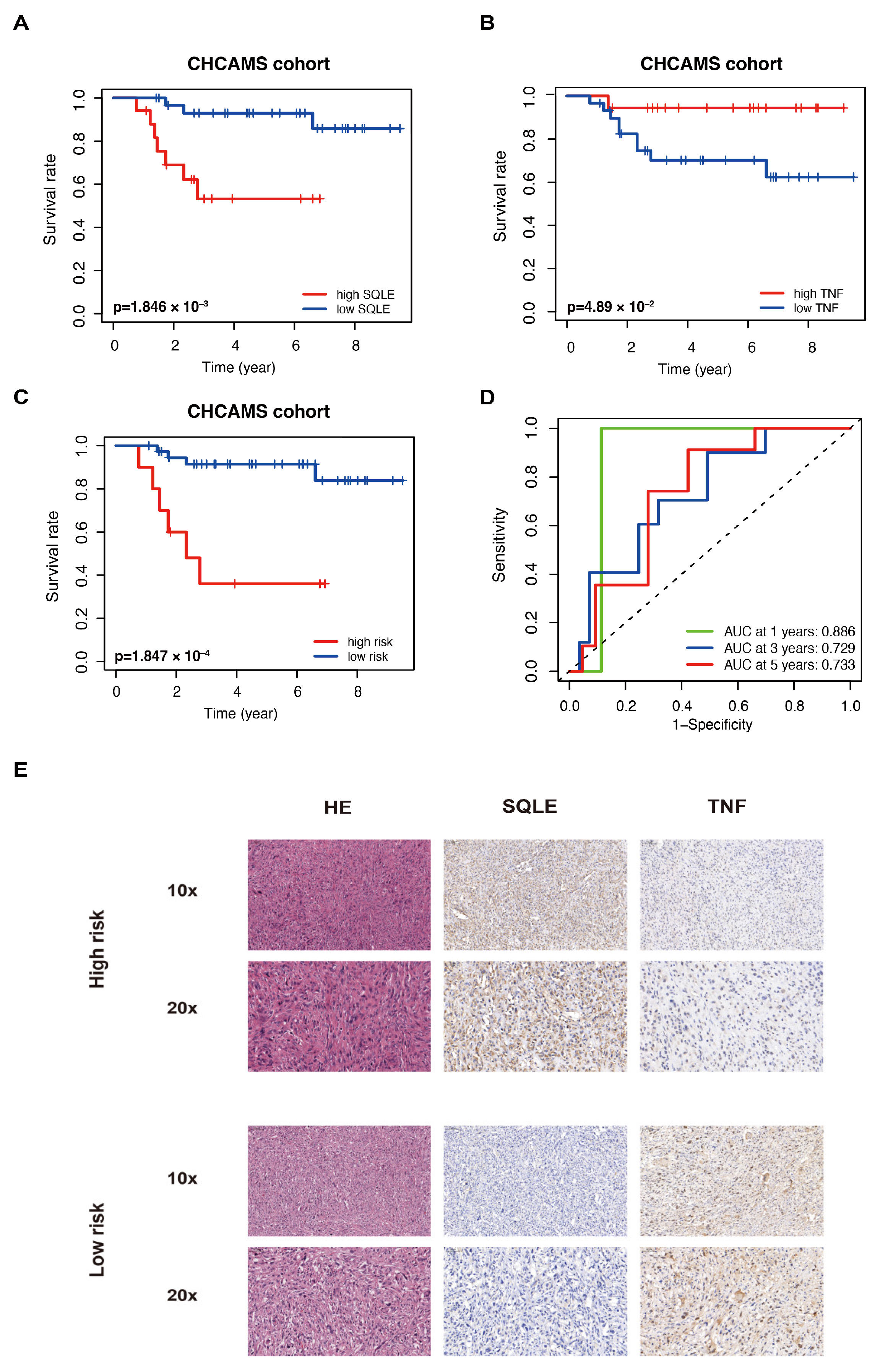 Ijms 25 01643 g006 Ijms 25 01643 g006