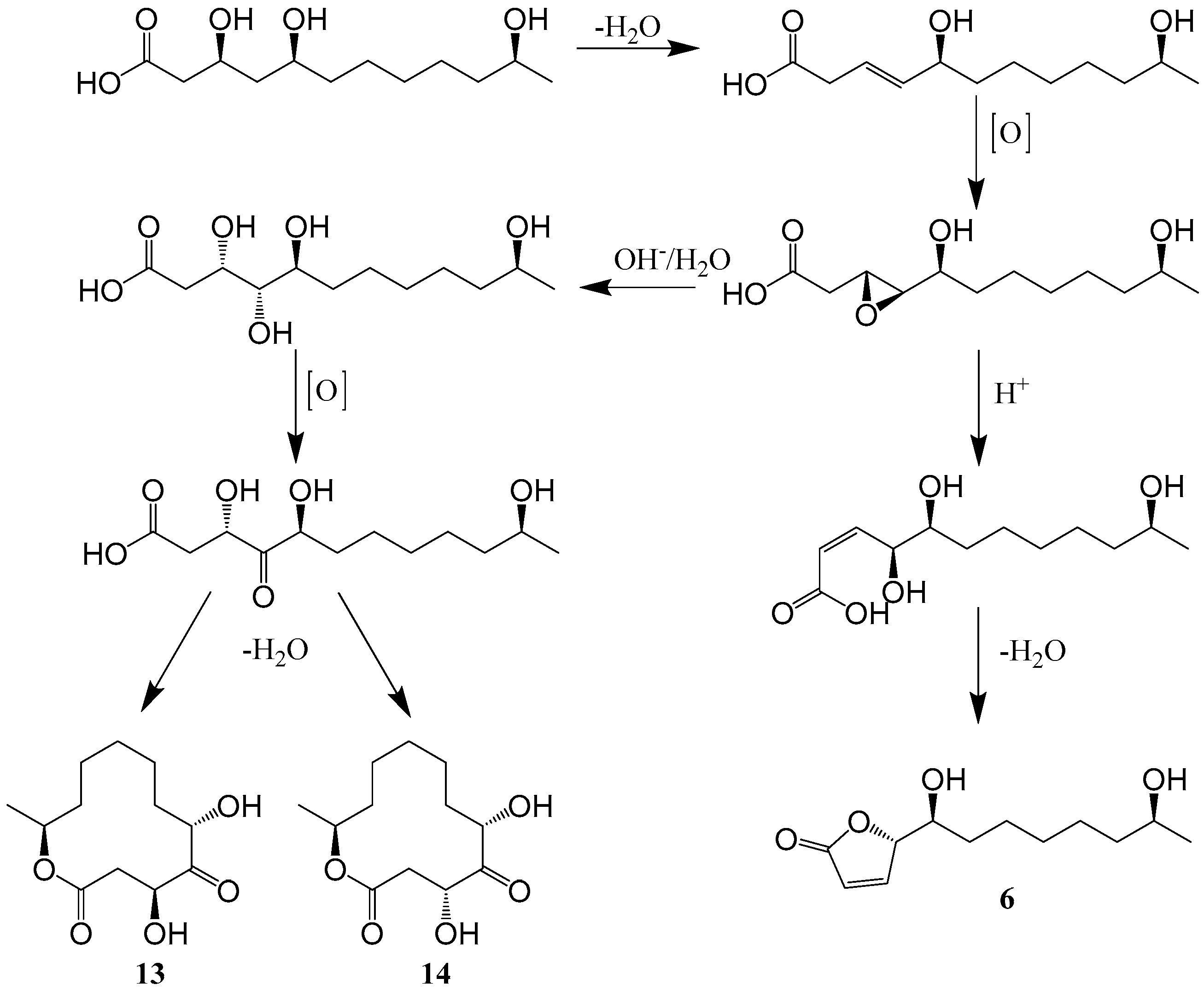 Ijms 25 01652 g002 Ijms 25 01652 g002