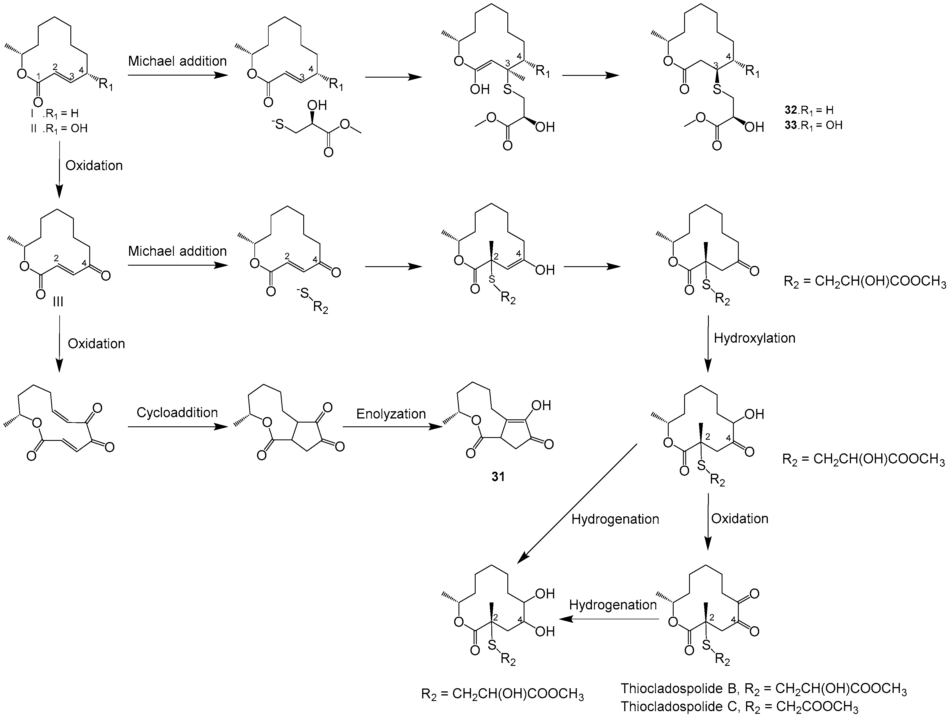 Ijms 25 01652 g003 Ijms 25 01652 g003