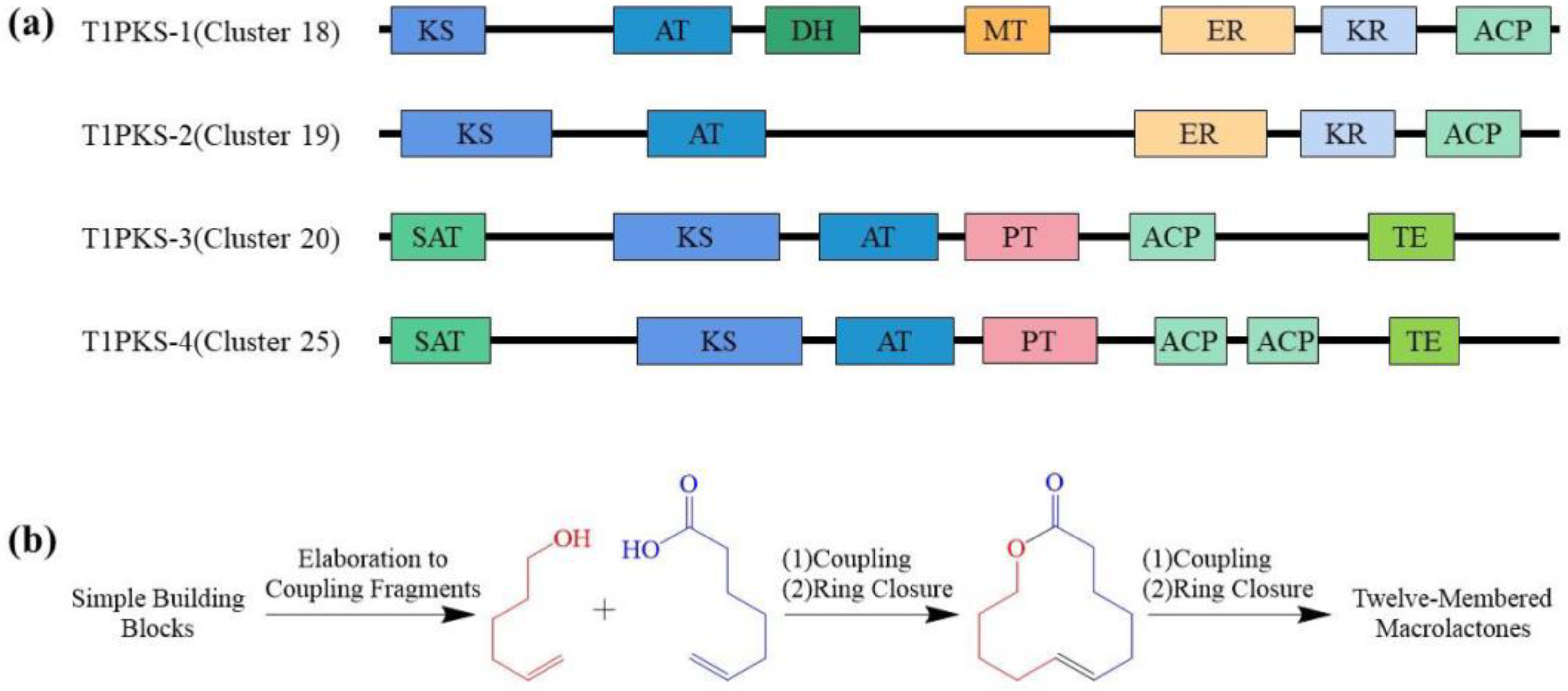Ijms 25 01652 g004 Ijms 25 01652 g004