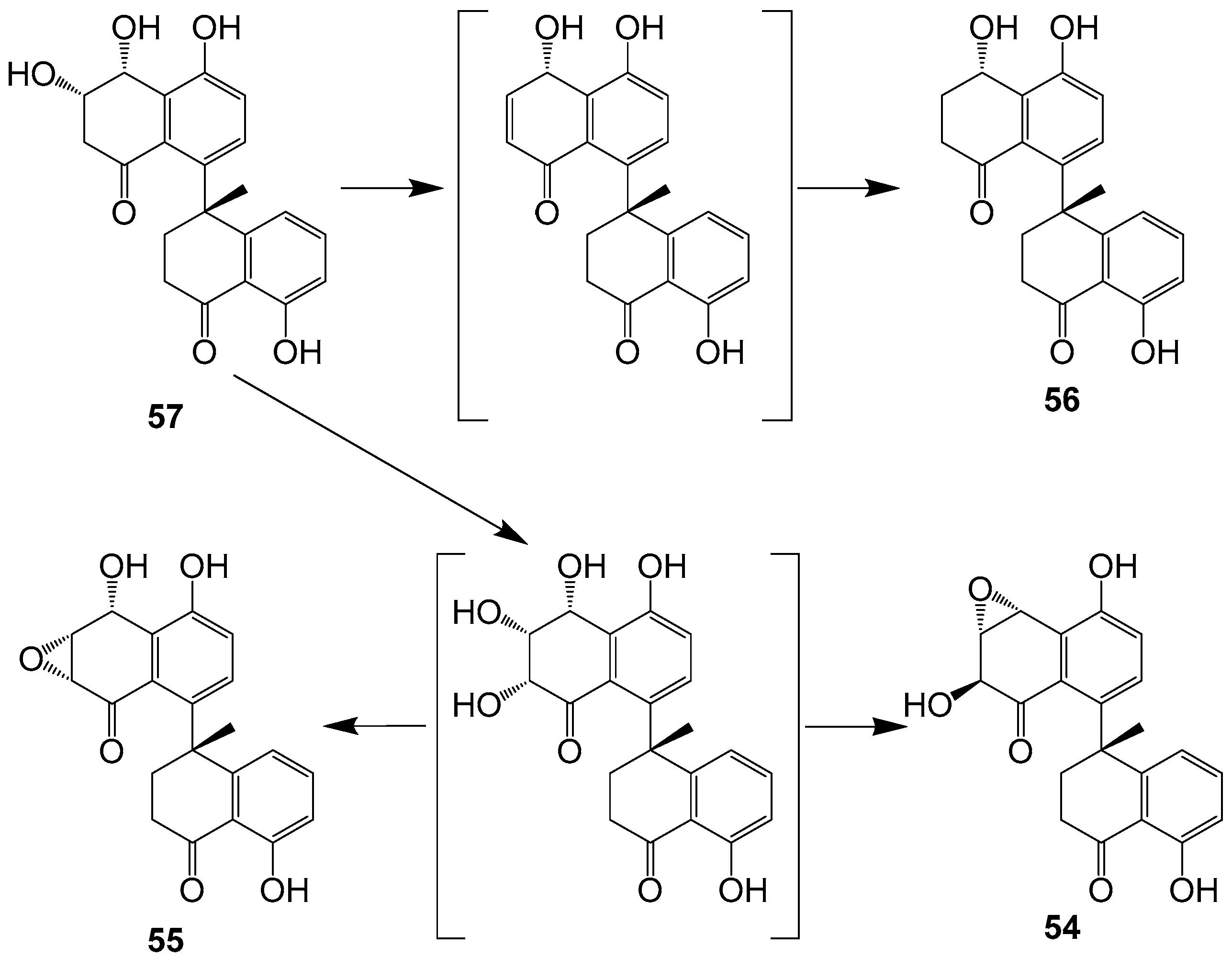 Ijms 25 01652 g007 Ijms 25 01652 g007