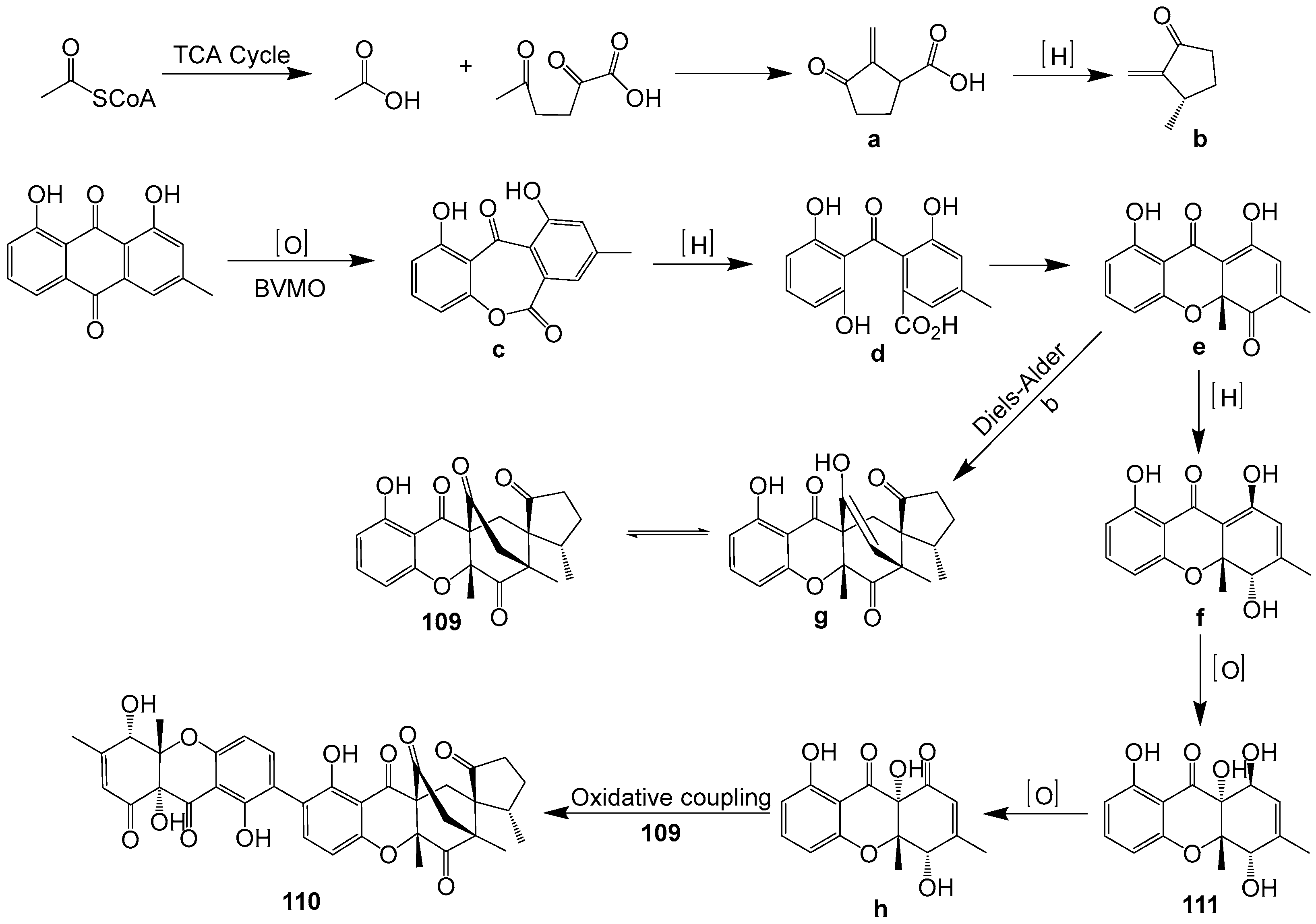 Ijms 25 01652 g013 Ijms 25 01652 g013