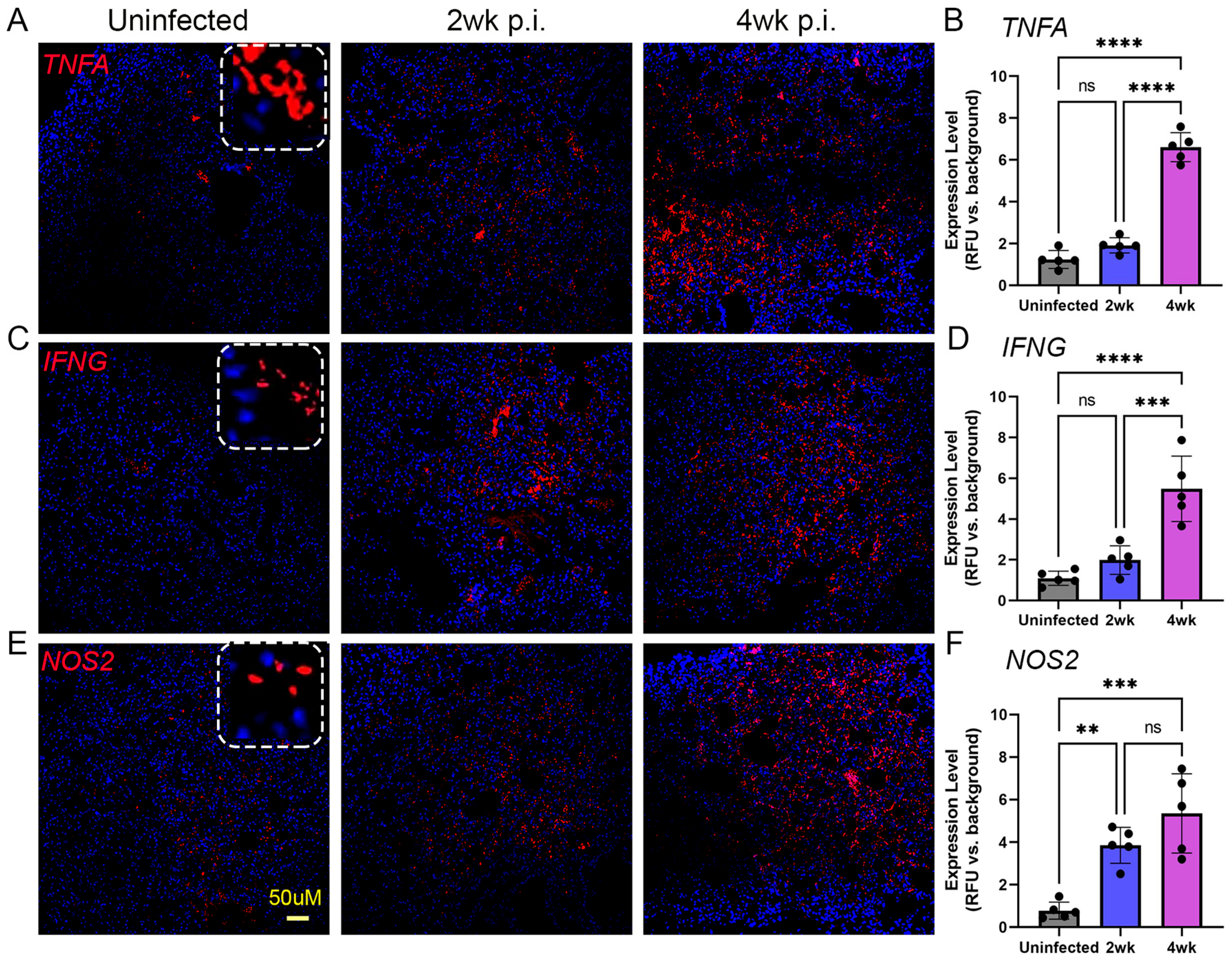 Ijms 25 01656 g007