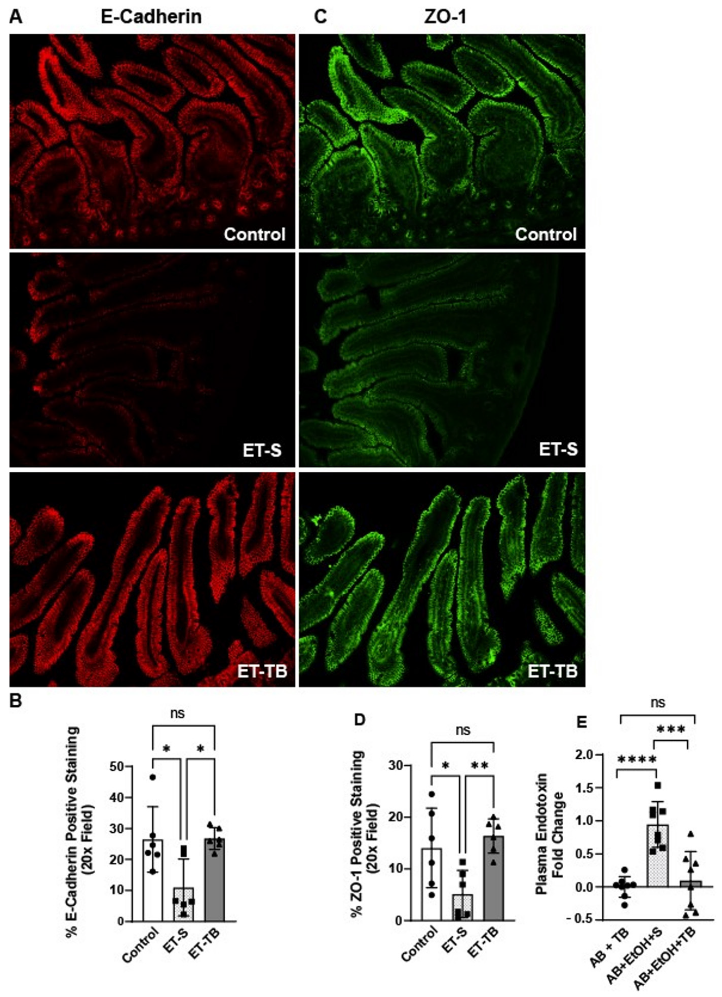 Ijms 25 01665 g002
