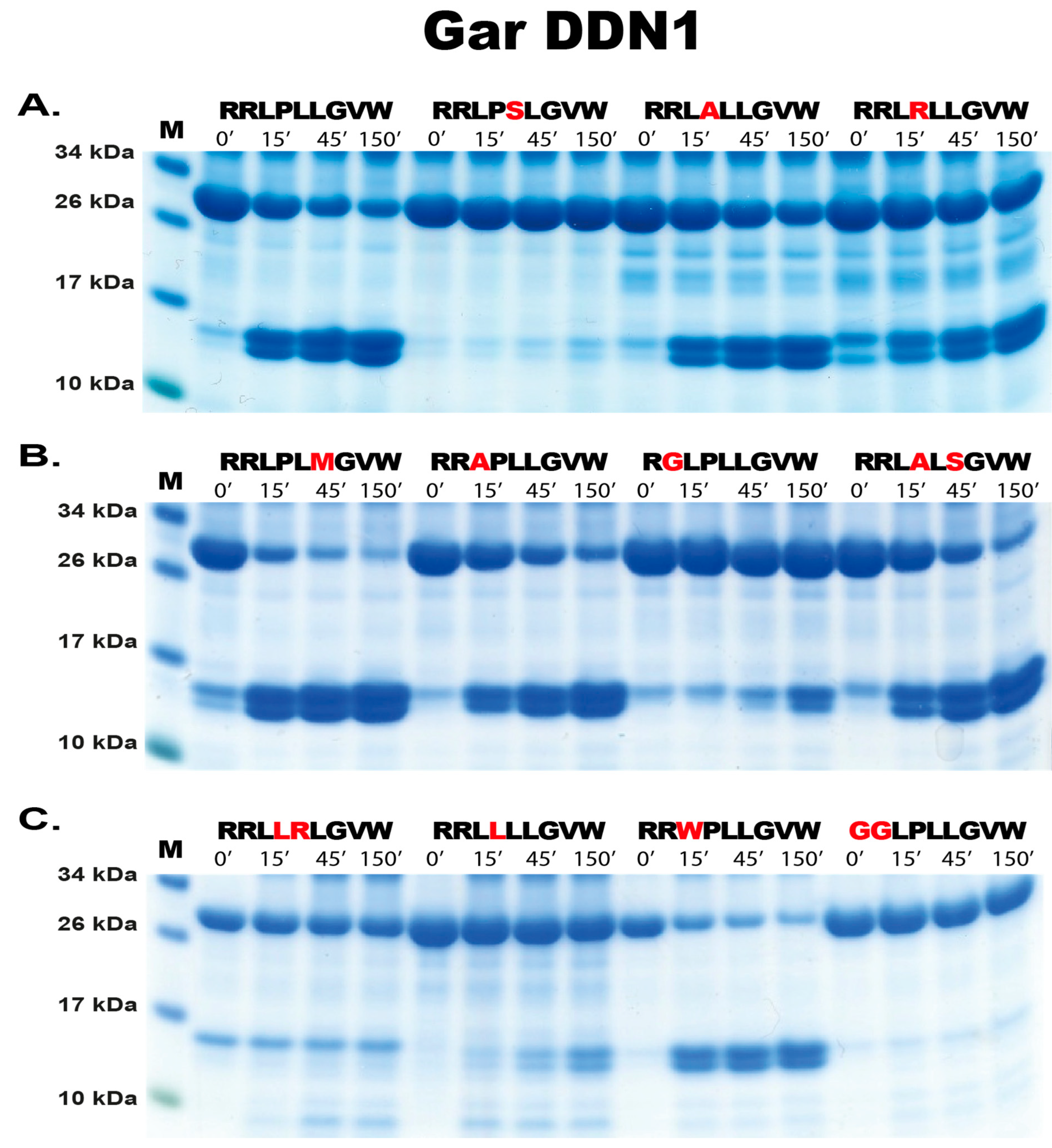 Ijms 25 01669 g006 Ijms 25 01669 g006