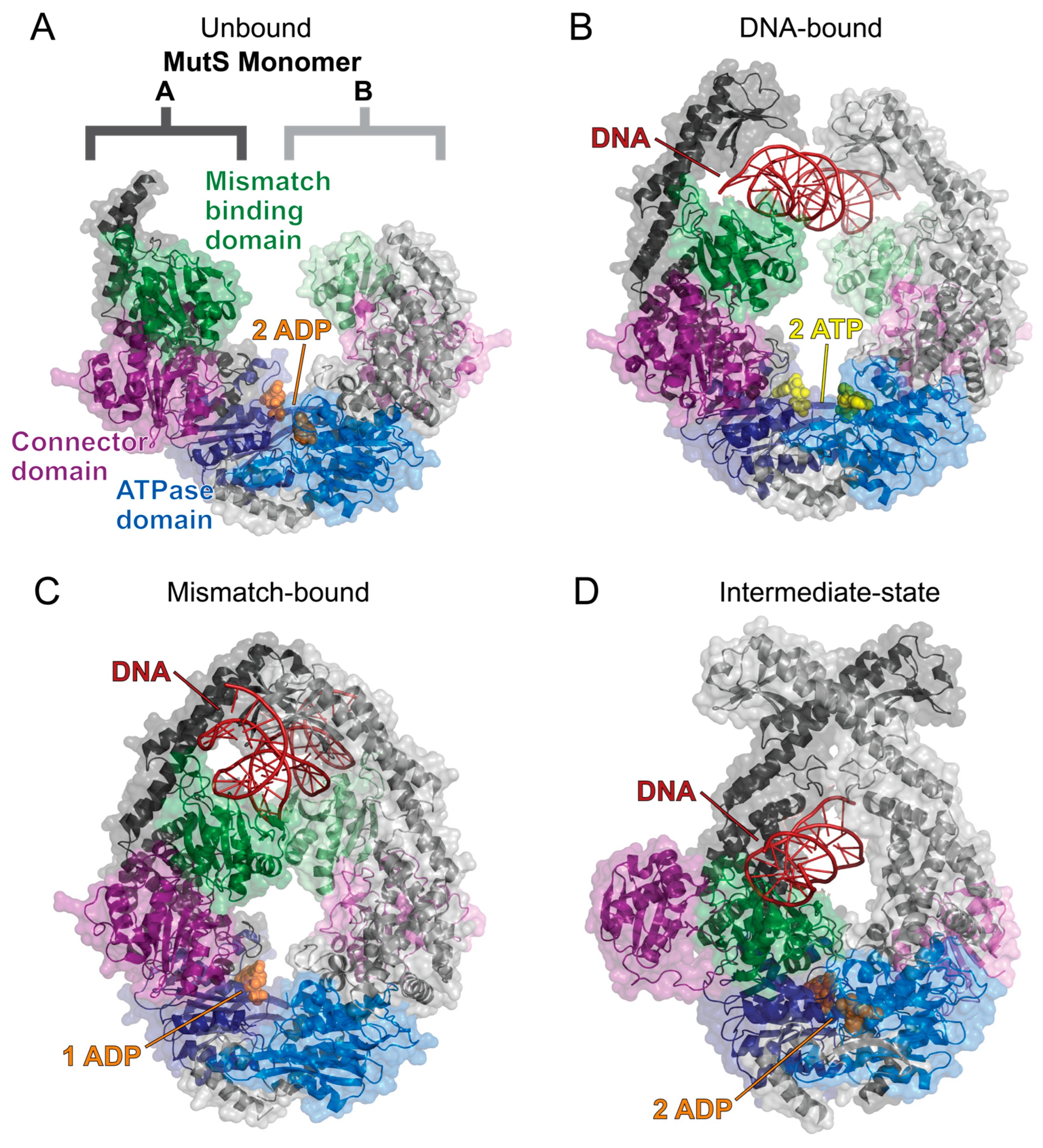 Ijms 25 01676 g006