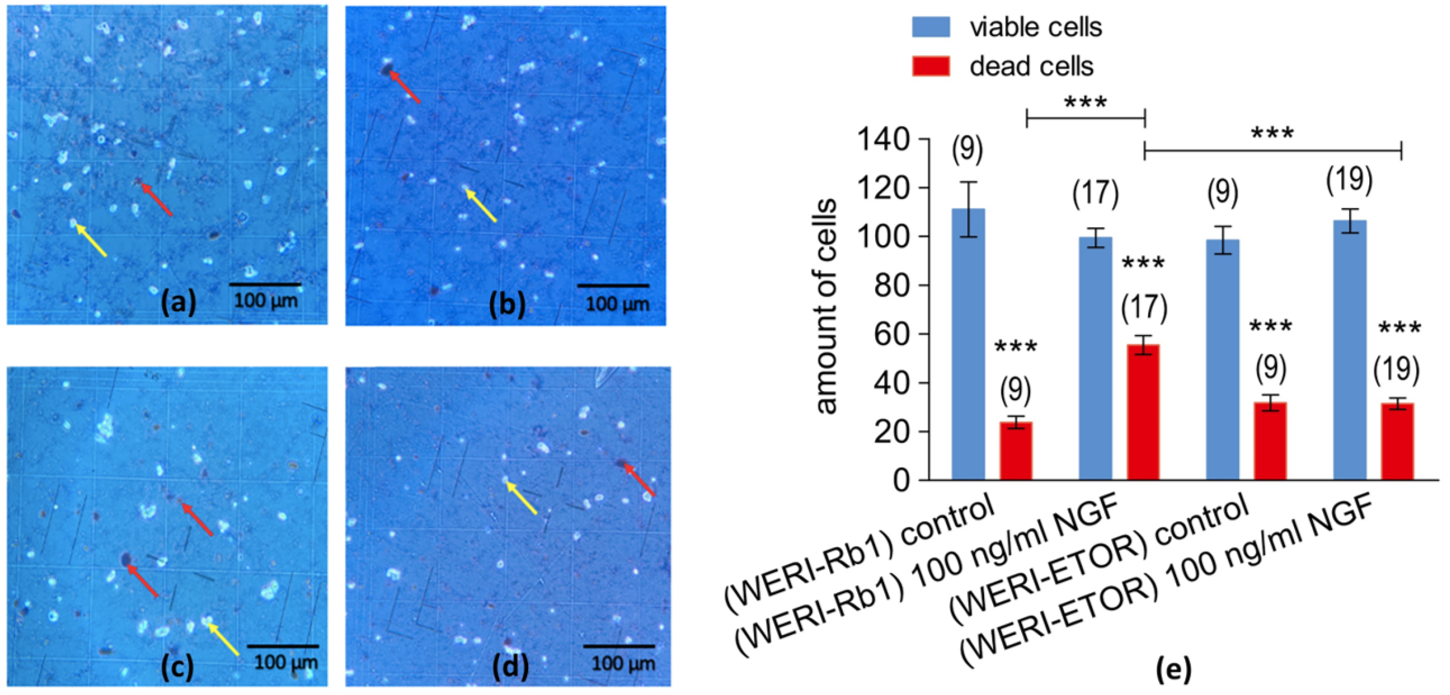 Ijms 25 01733 g002 Ijms 25 01733 g002