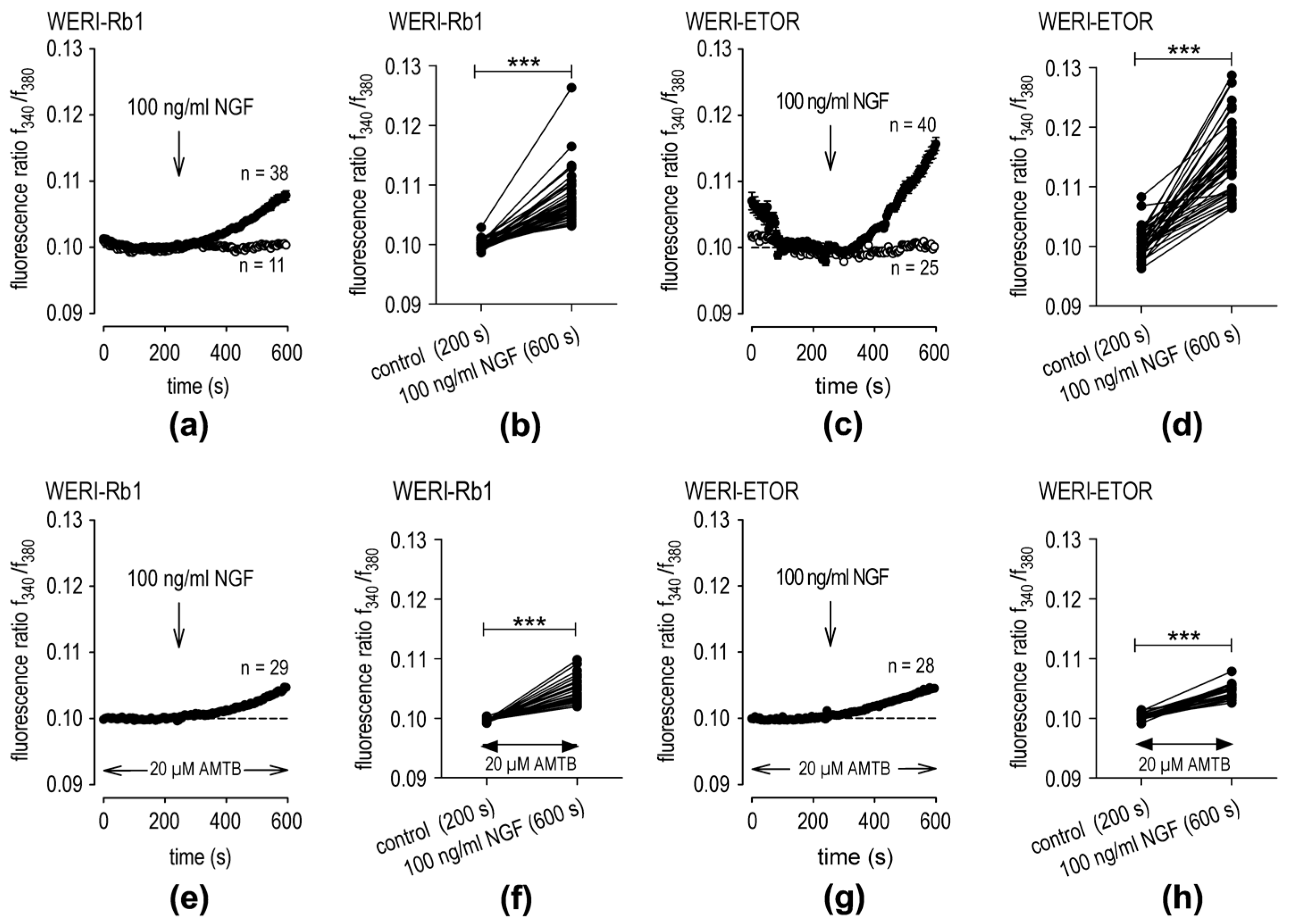 Ijms 25 01733 g003 Ijms 25 01733 g003