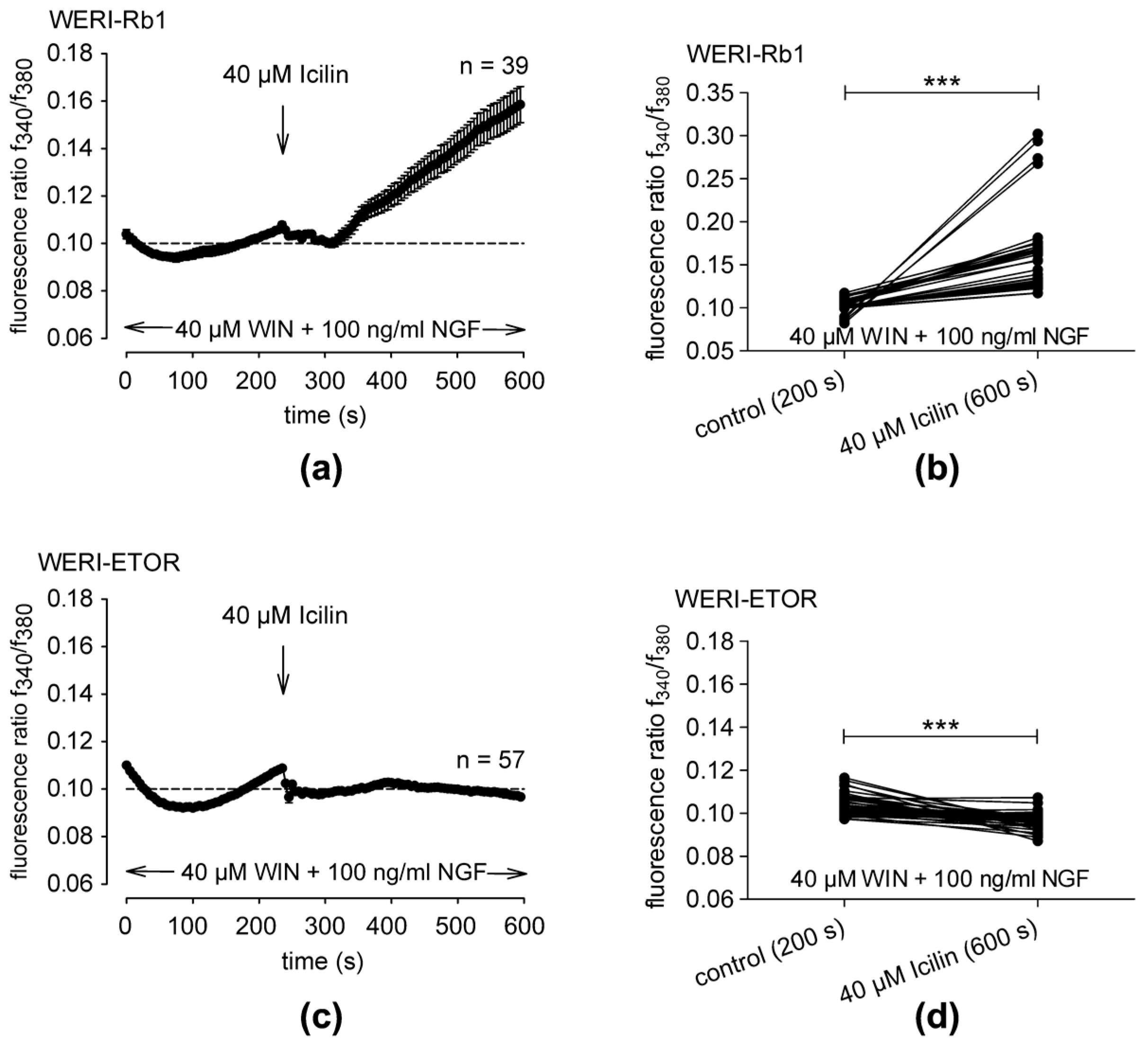 Ijms 25 01733 g004 Ijms 25 01733 g004