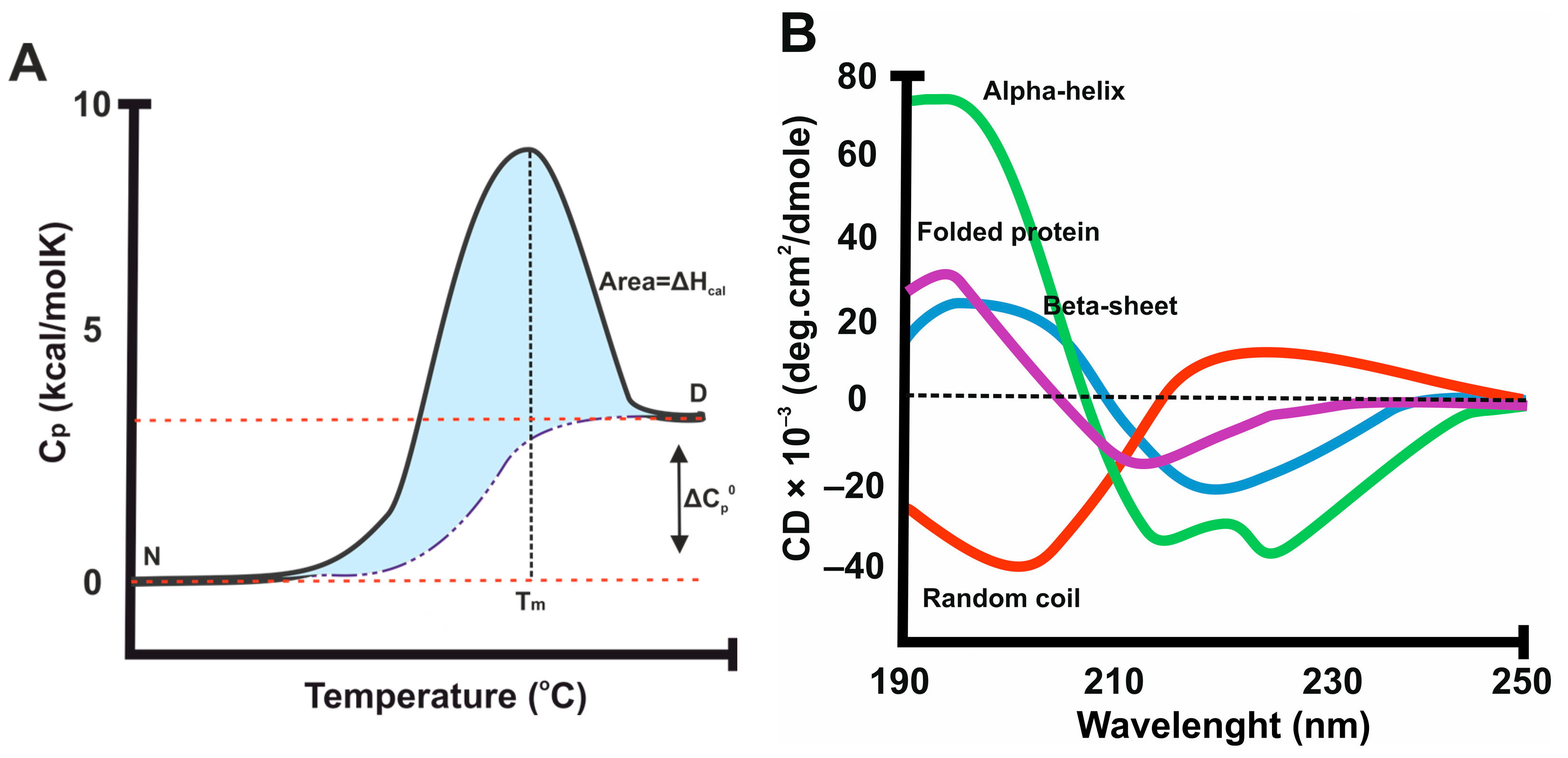 Ijms 25 01764 g001 Ijms 25 01764 g001