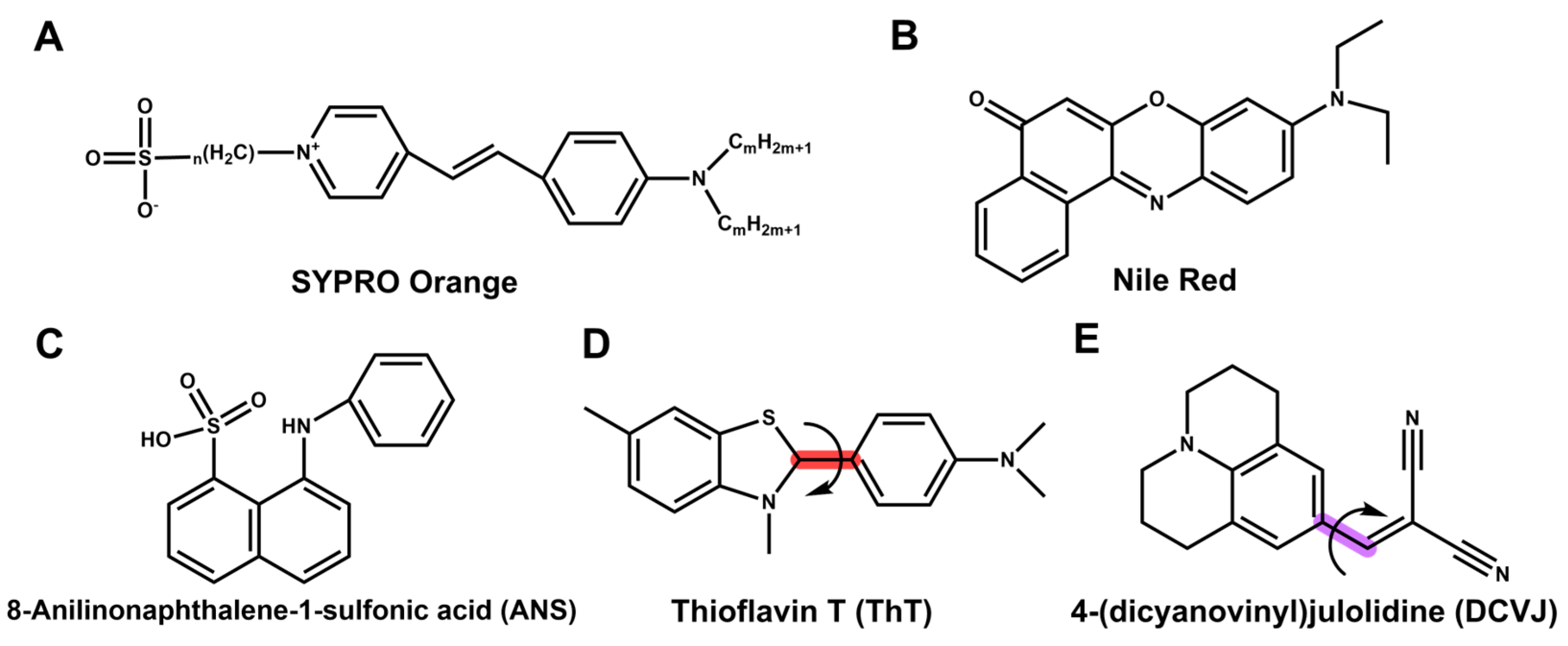 Ijms 25 01764 g003 Ijms 25 01764 g003