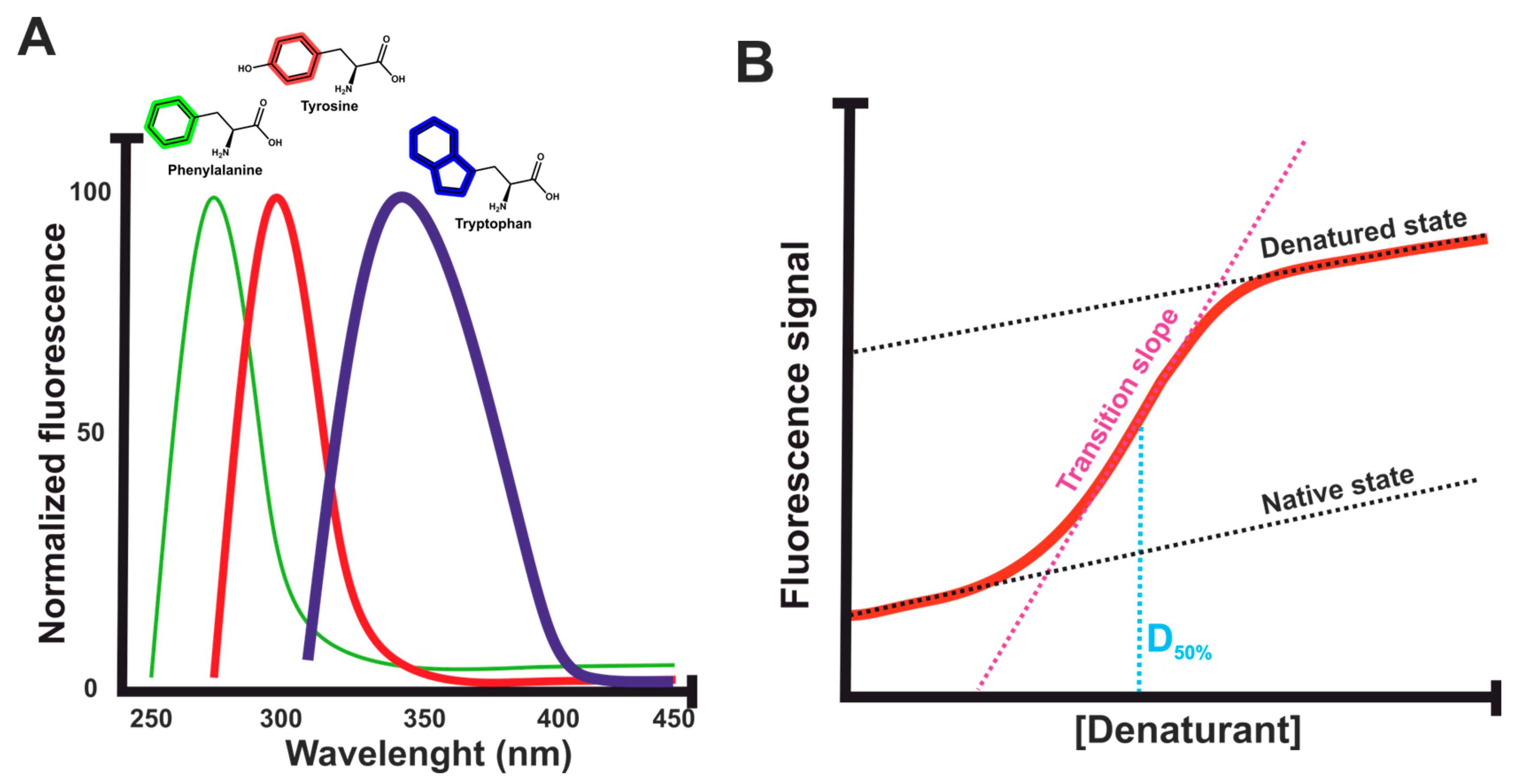 Ijms 25 01764 g005 Ijms 25 01764 g005