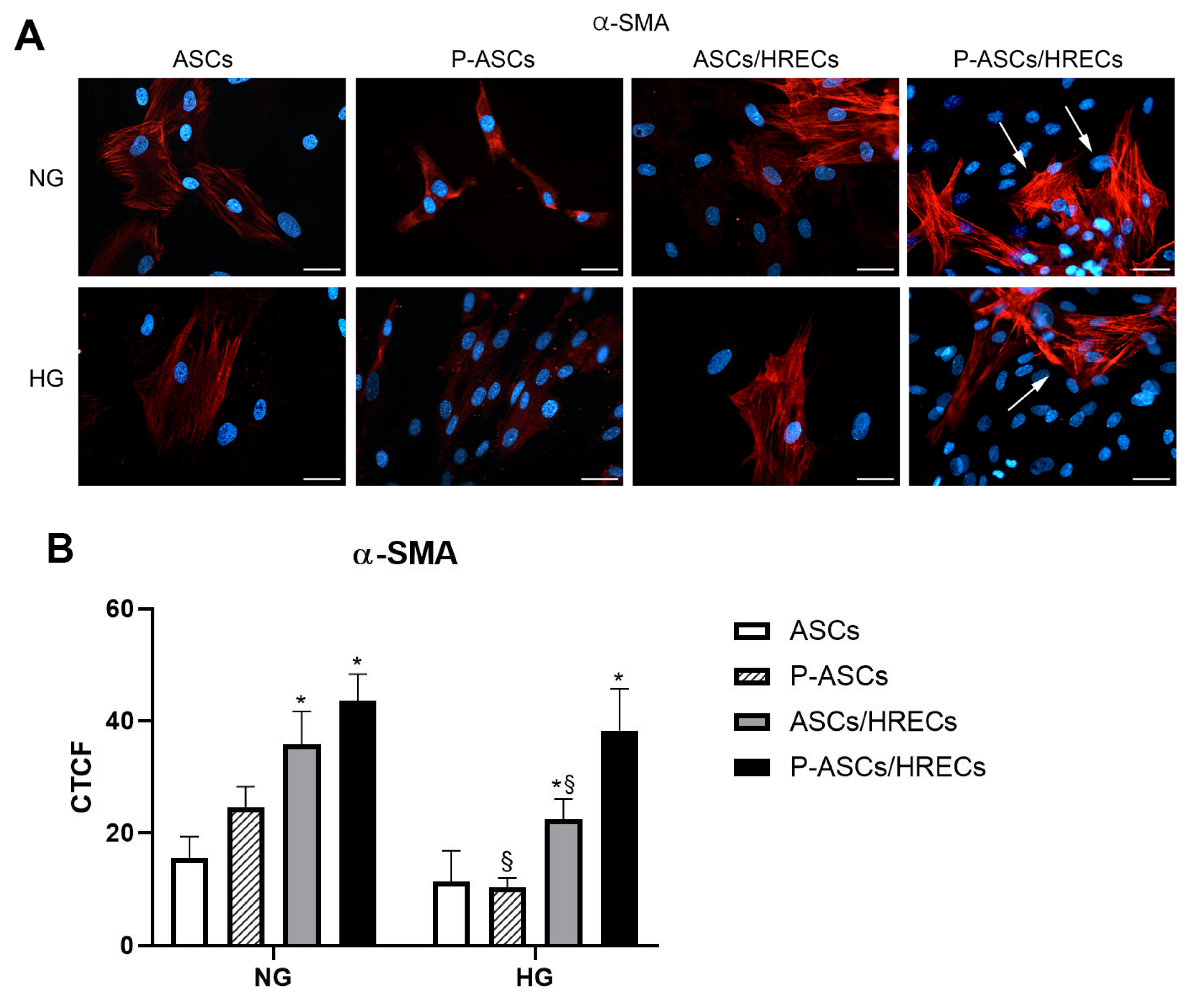 Ijms 25 01774 g001 Ijms 25 01774 g001