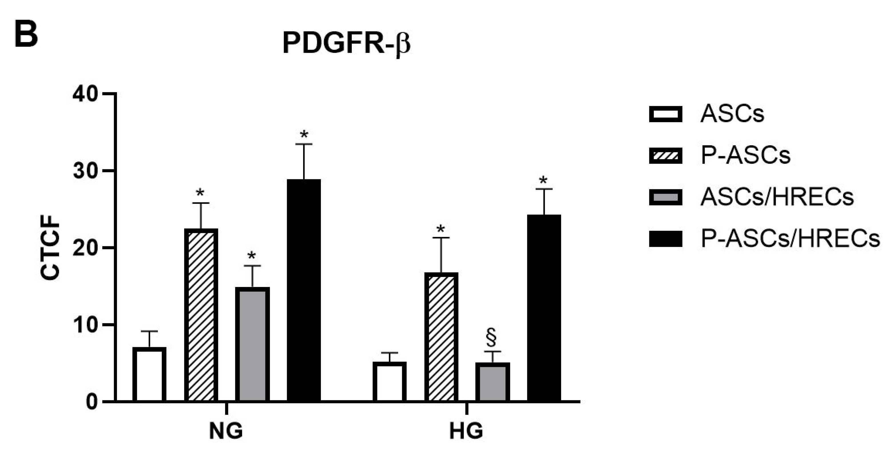 Ijms 25 01774 g002b Ijms 25 01774 g002b