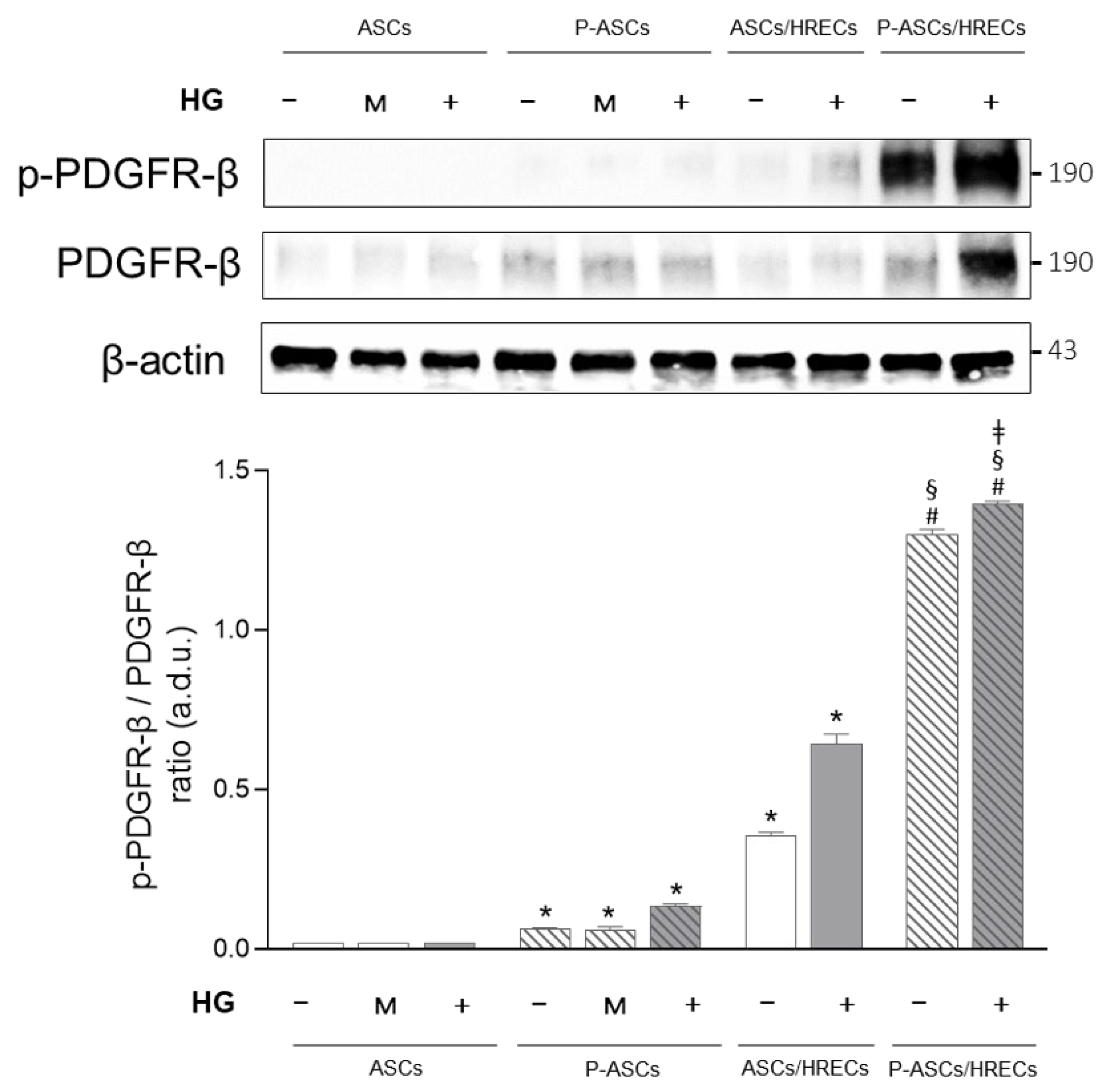 Ijms 25 01774 g003 Ijms 25 01774 g003