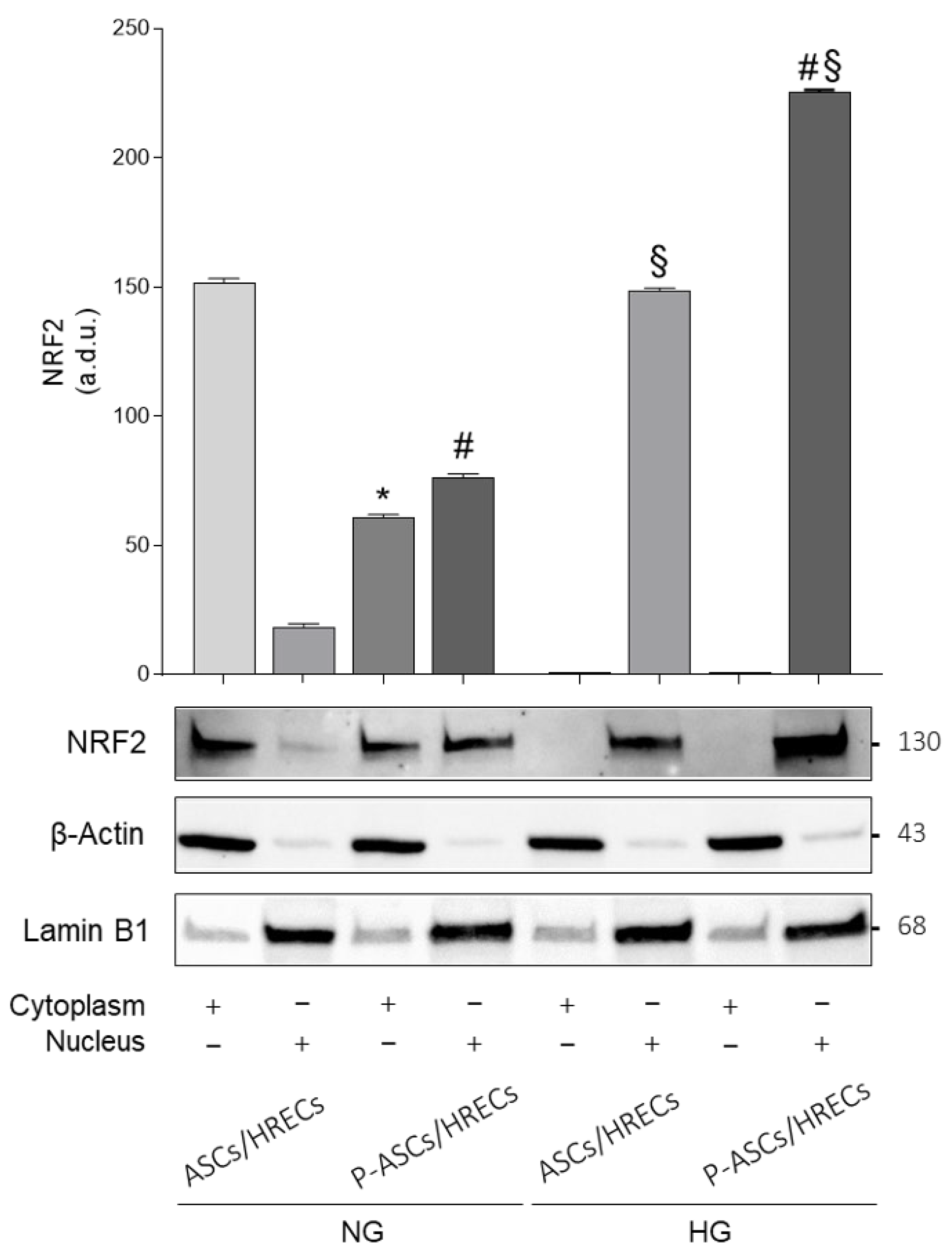 Ijms 25 01774 g004 Ijms 25 01774 g004