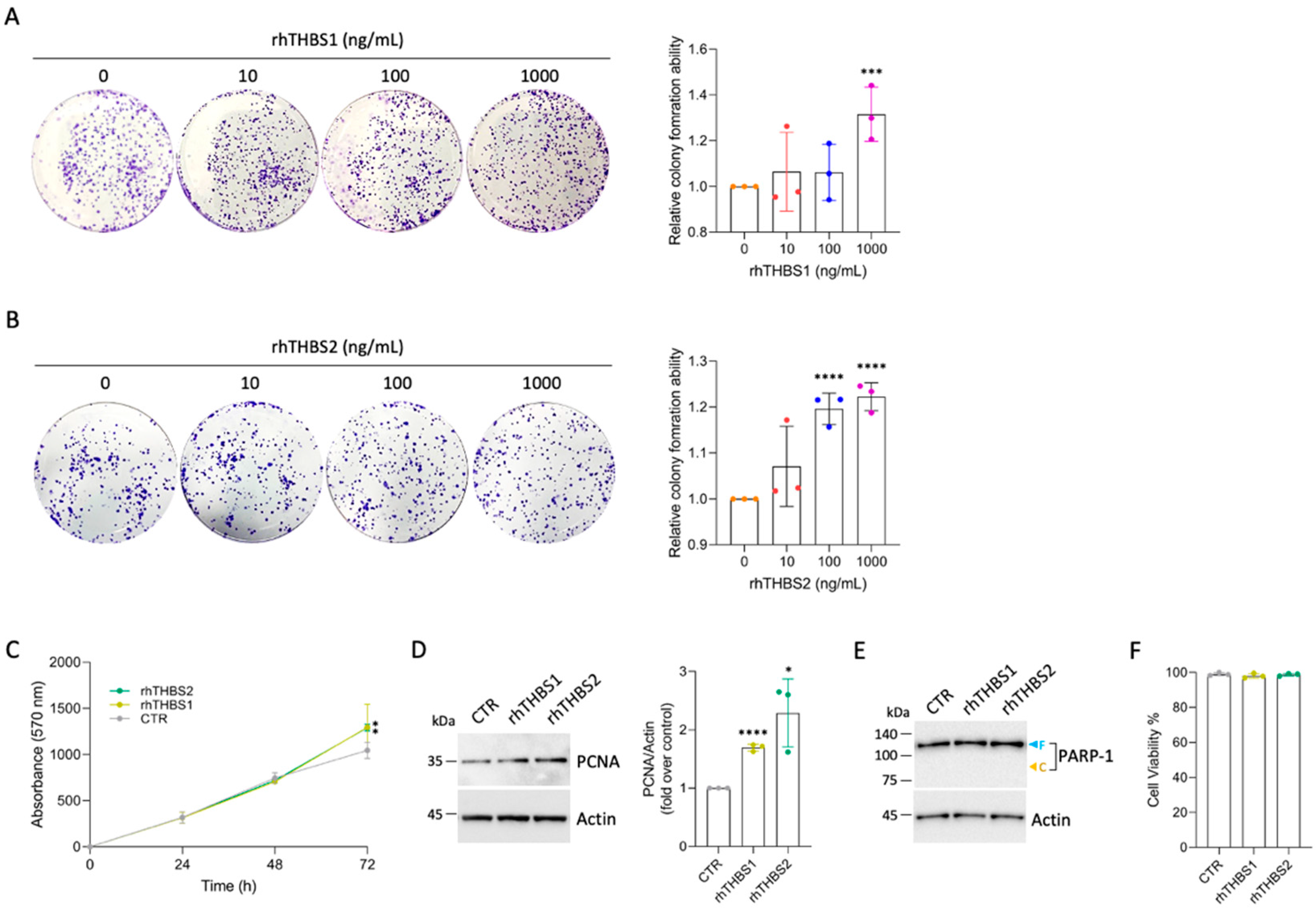 Ijms 25 01782 g001 Ijms 25 01782 g001