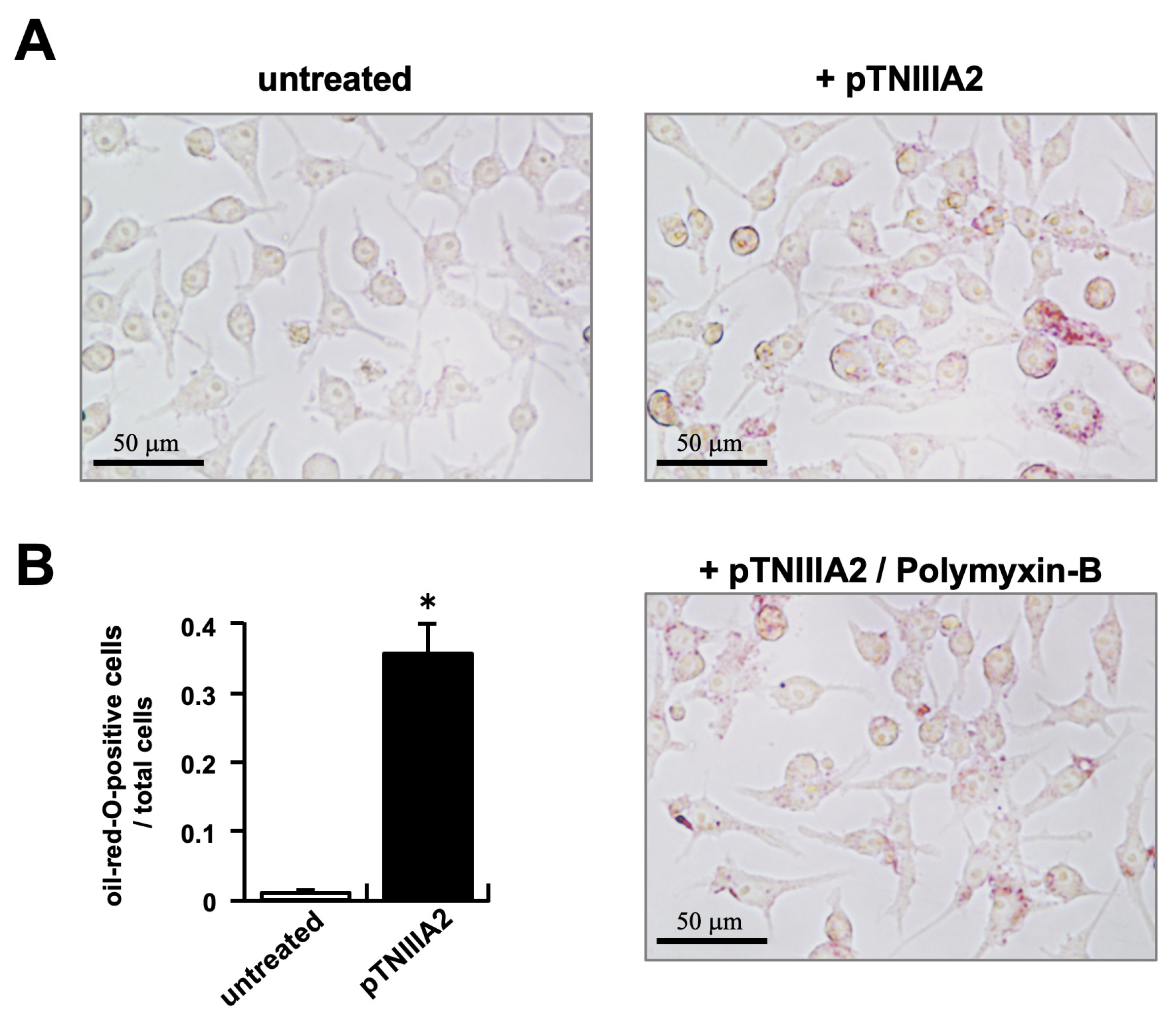 Ijms 25 01825 g002 Ijms 25 01825 g002