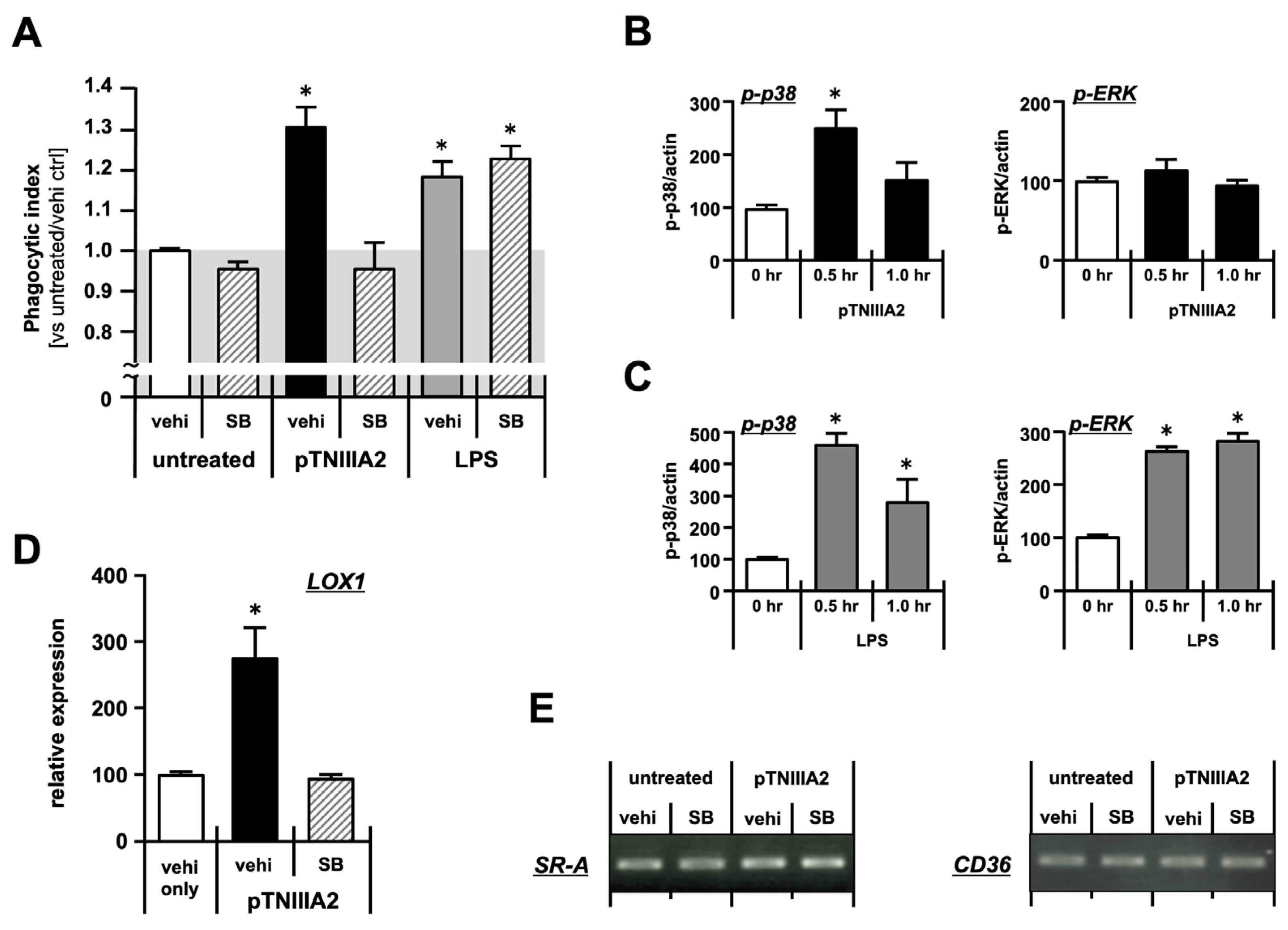 Ijms 25 01825 g003 Ijms 25 01825 g003