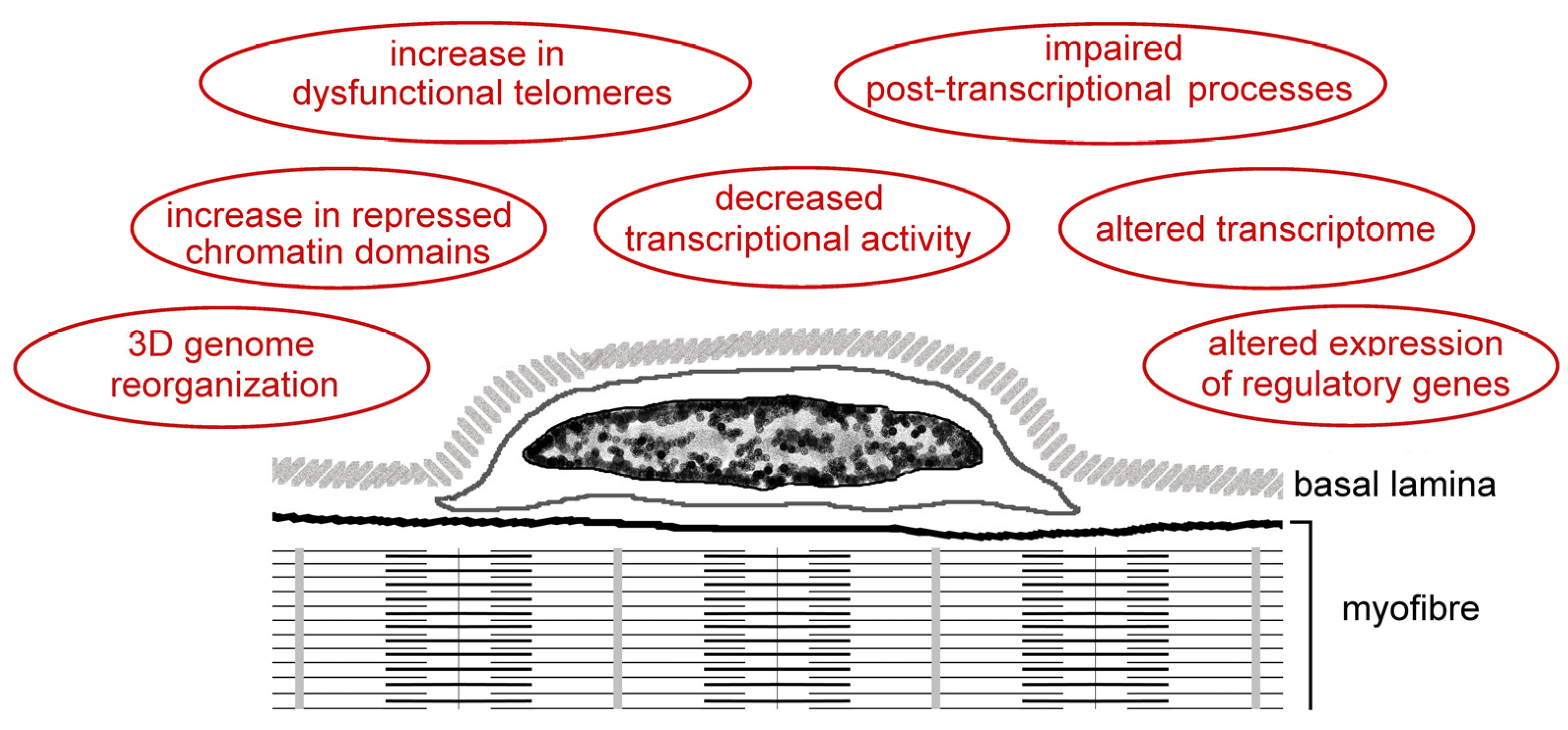 Ijms 25 01833 g004 Ijms 25 01833 g004
