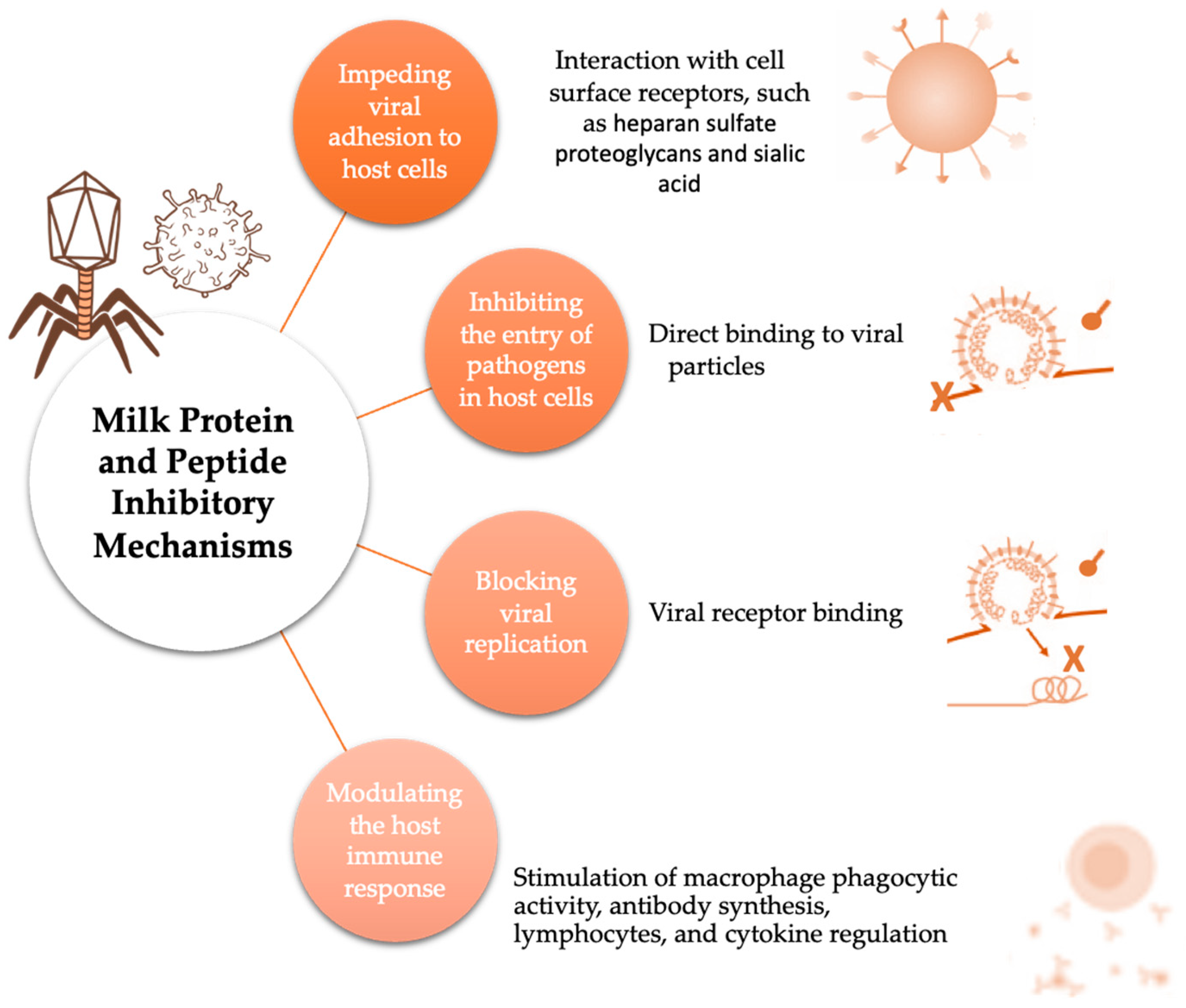 Ijms 25 01842 g003 Ijms 25 01842 g003