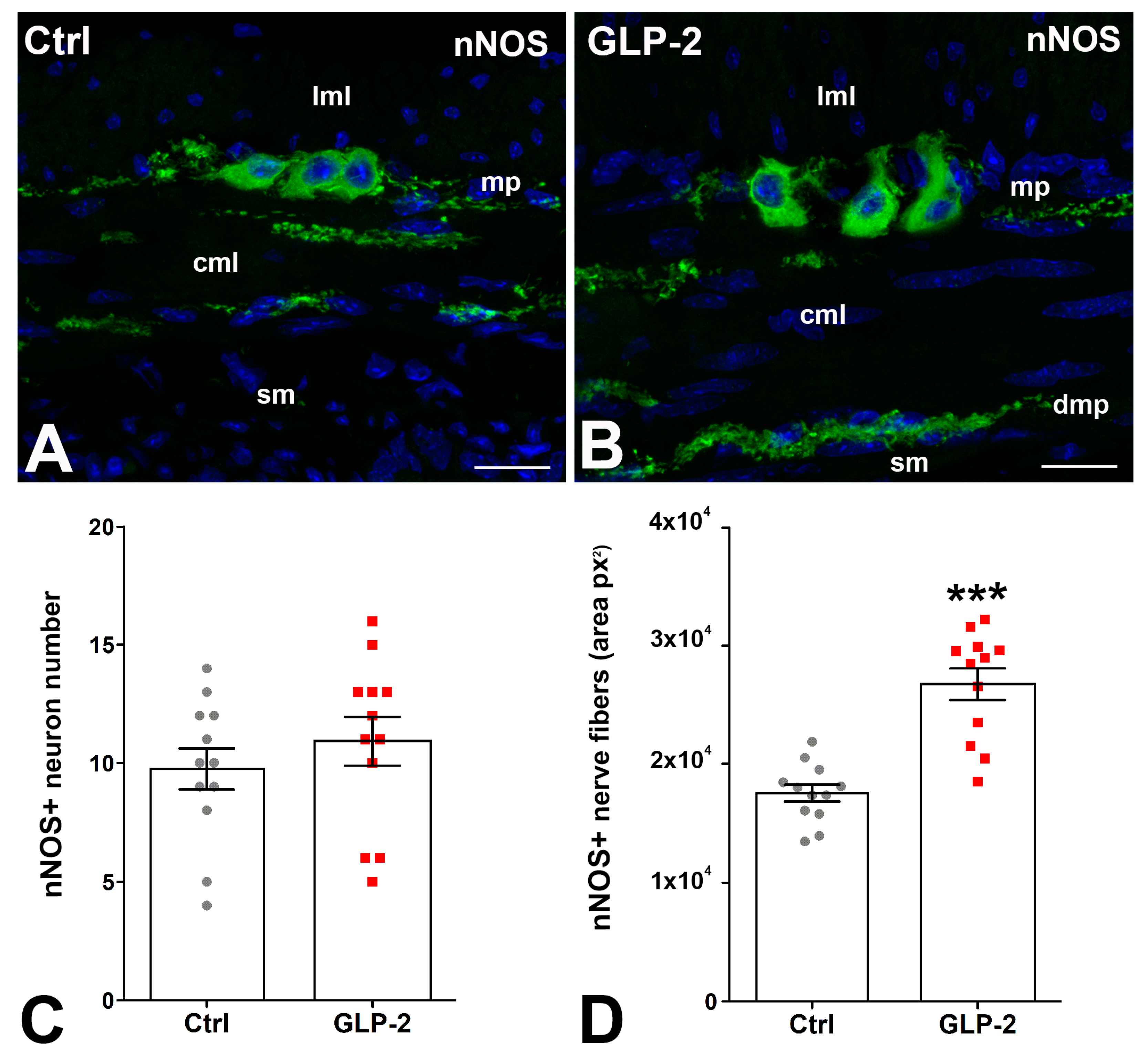 Ijms 25 01855 g003 Ijms 25 01855 g003