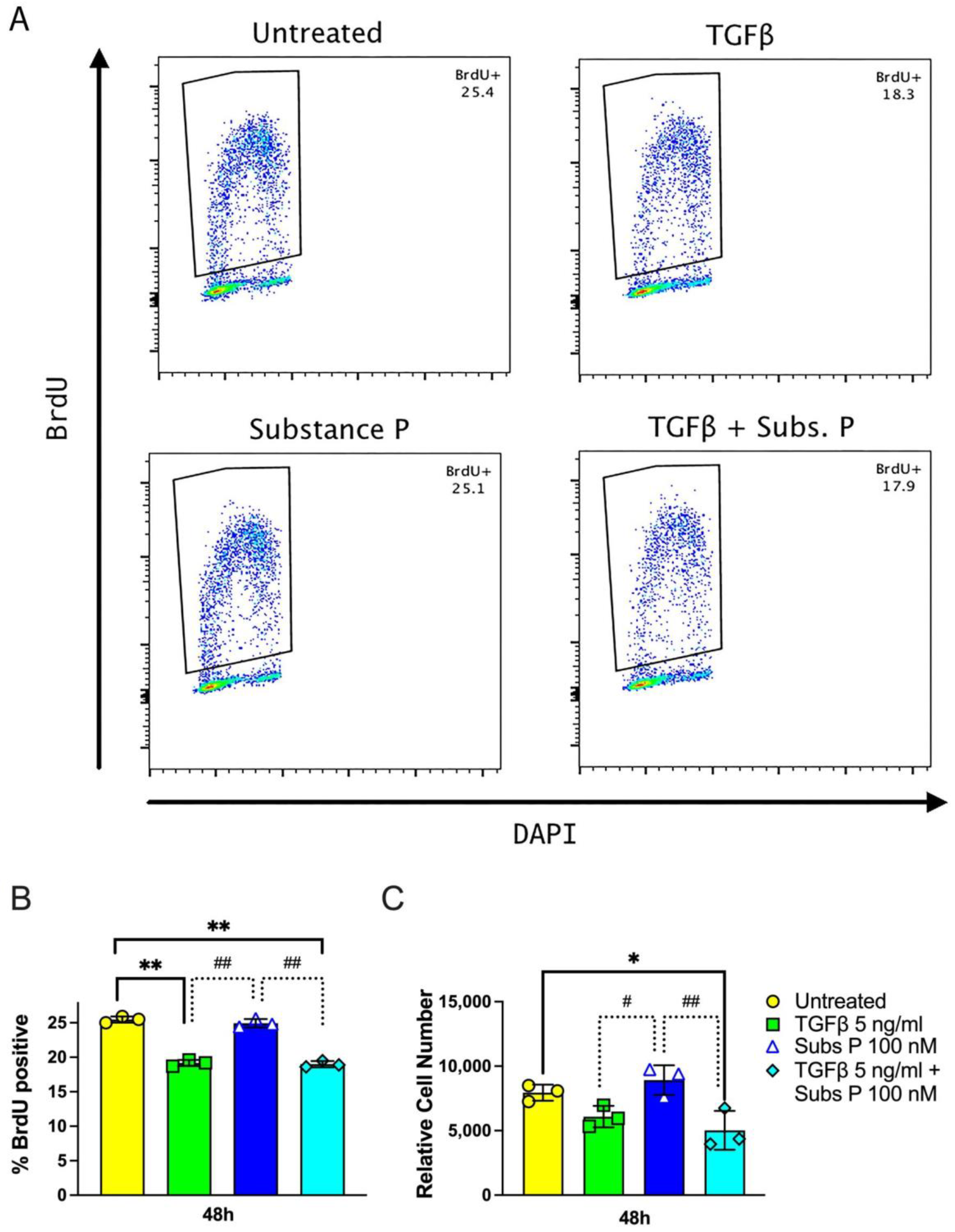 Ijms 25 01862 g001 Ijms 25 01862 g001