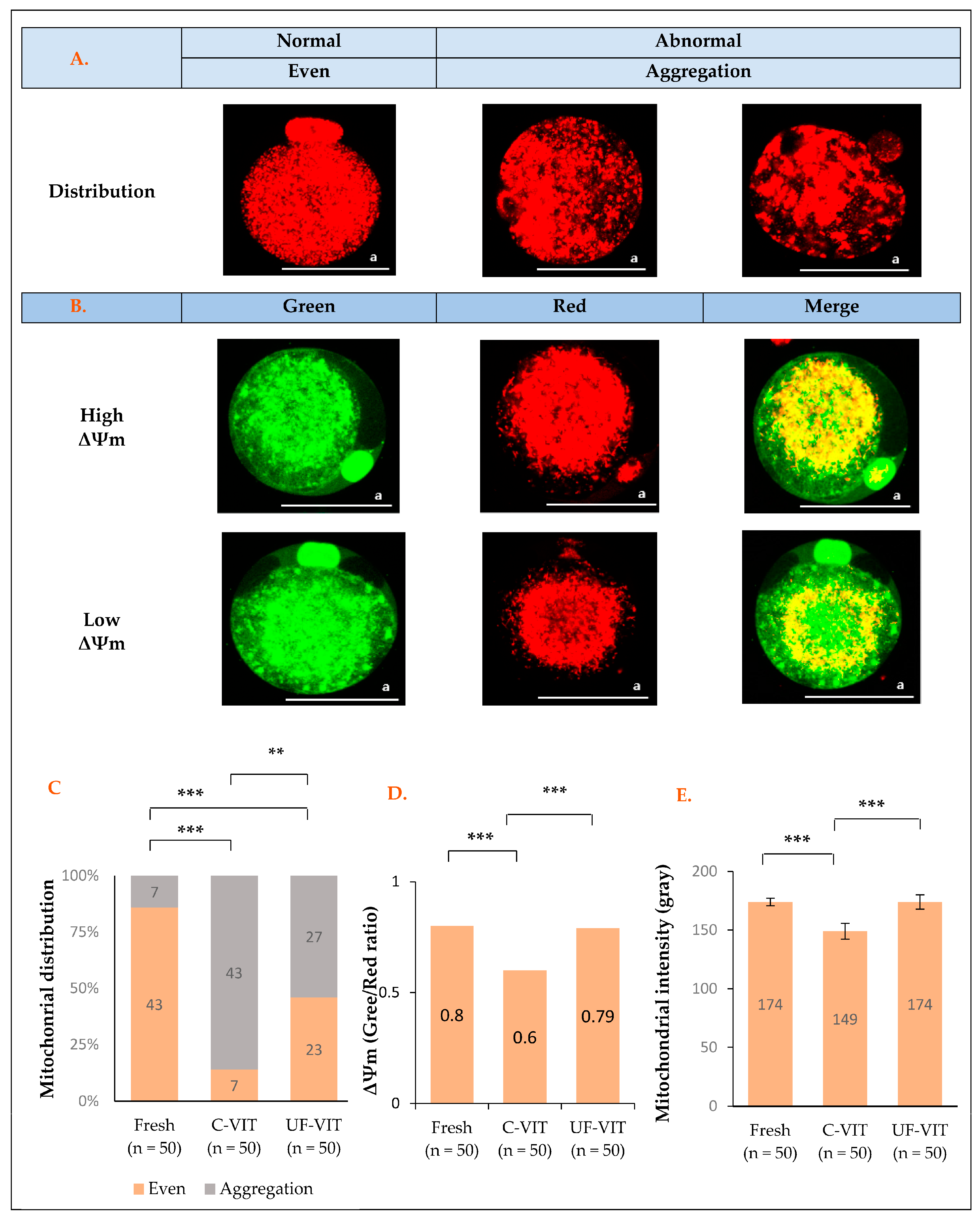 Ijms 25 01884 g002 Ijms 25 01884 g002