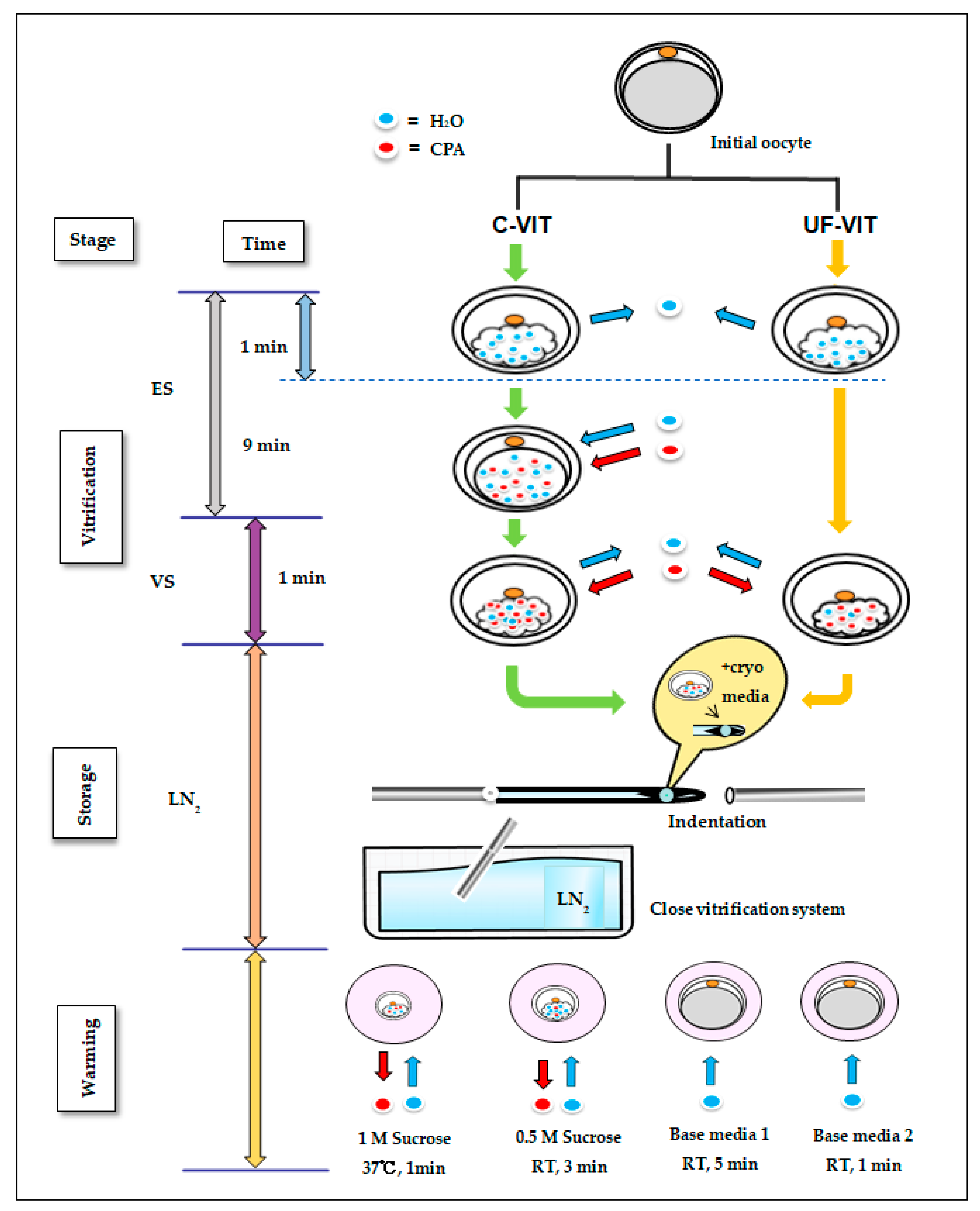 Ijms 25 01884 g006 Ijms 25 01884 g006