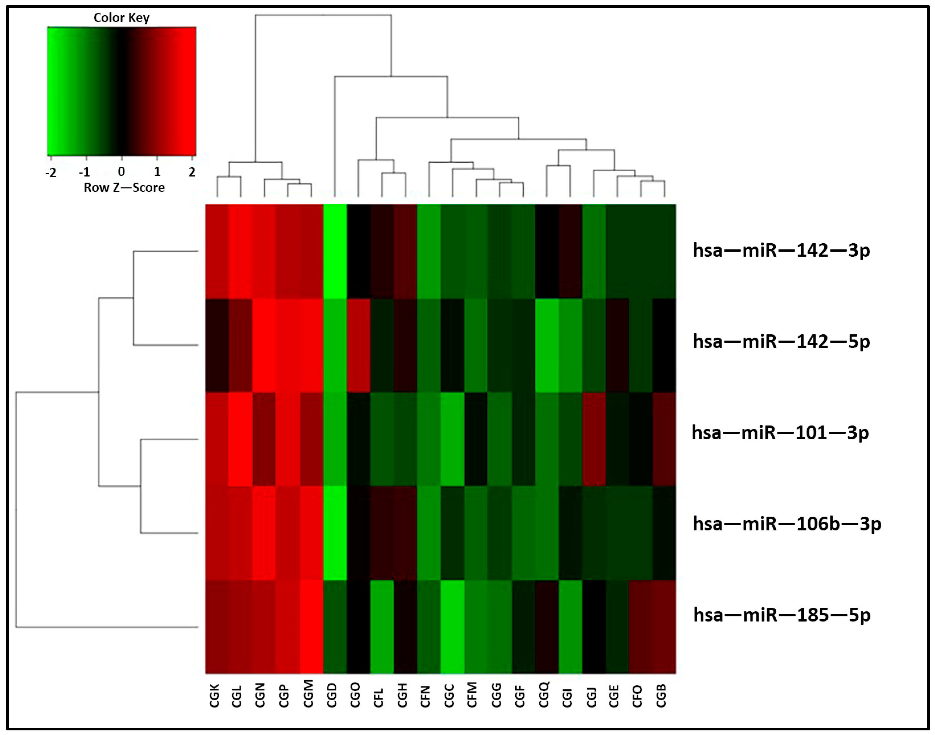 Ijms 25 01911 g003 Ijms 25 01911 g003