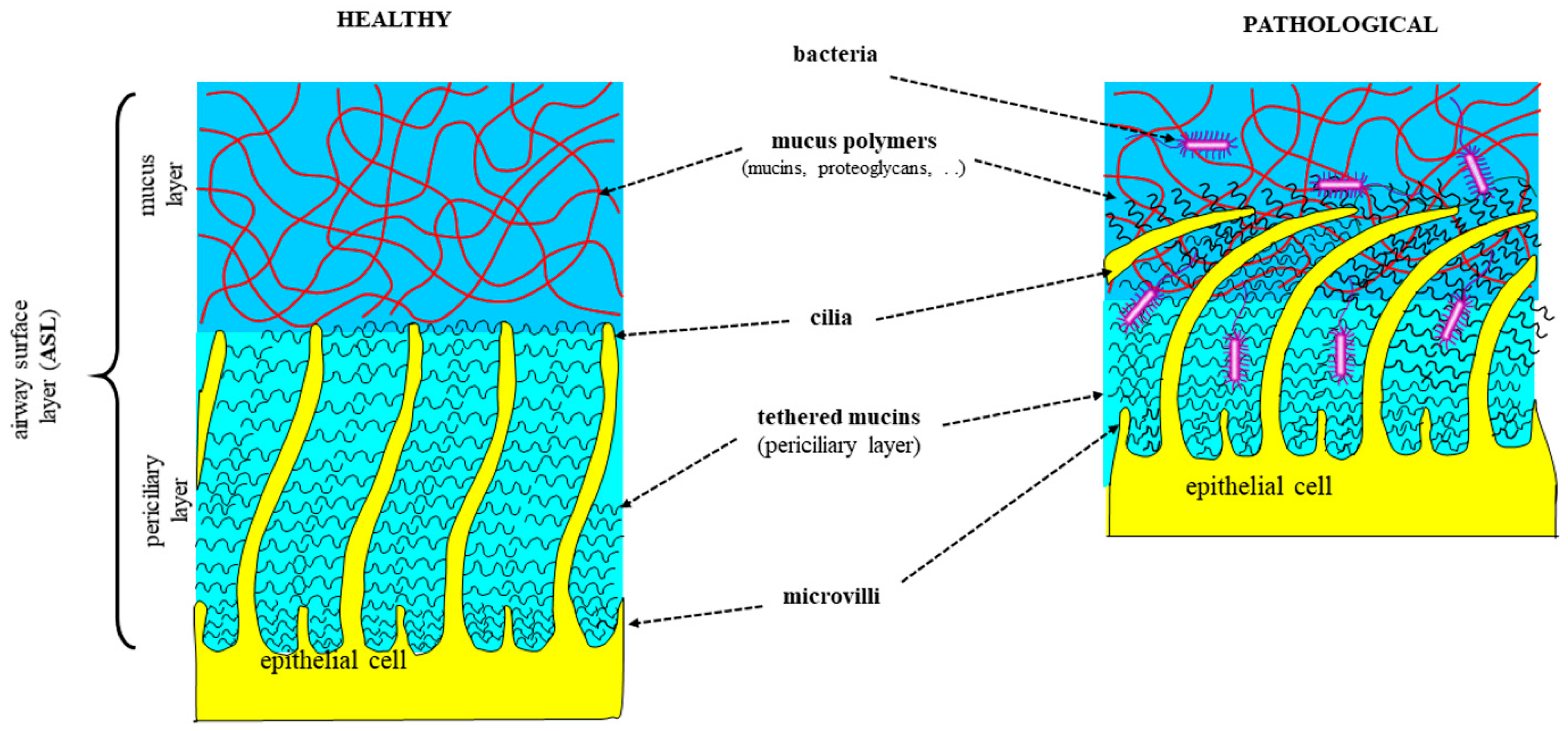 Ijms 25 01933 g002 Ijms 25 01933 g002