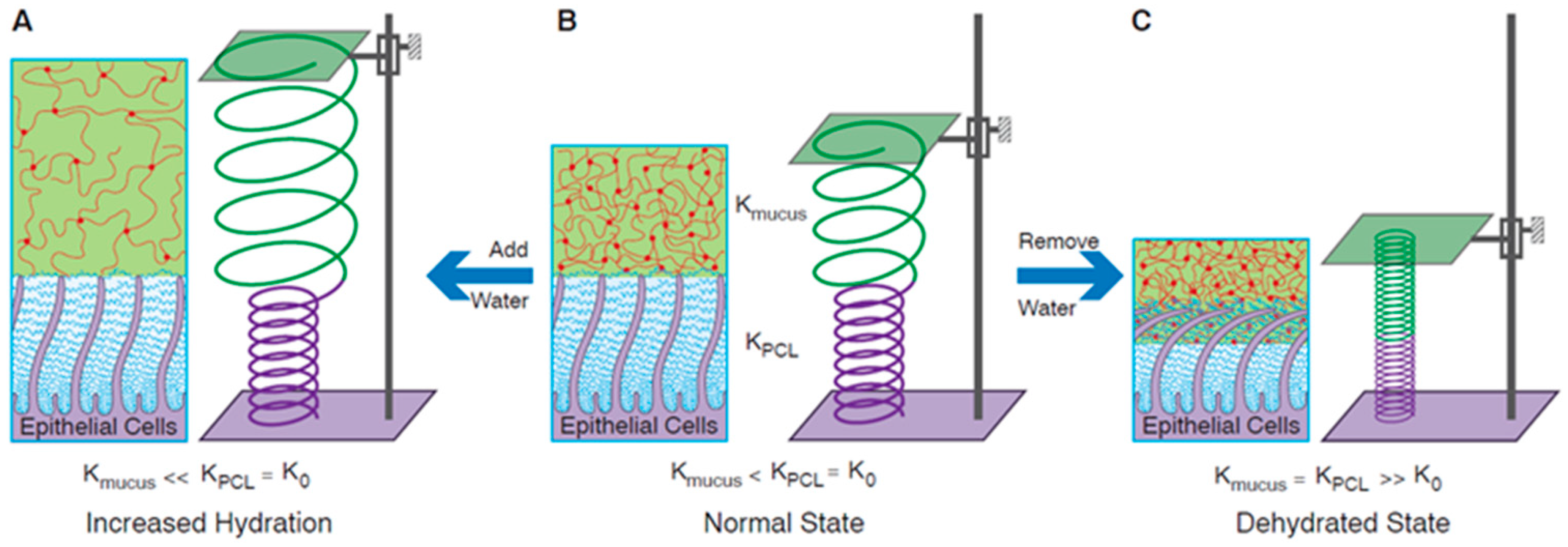Ijms 25 01933 g005 Ijms 25 01933 g005