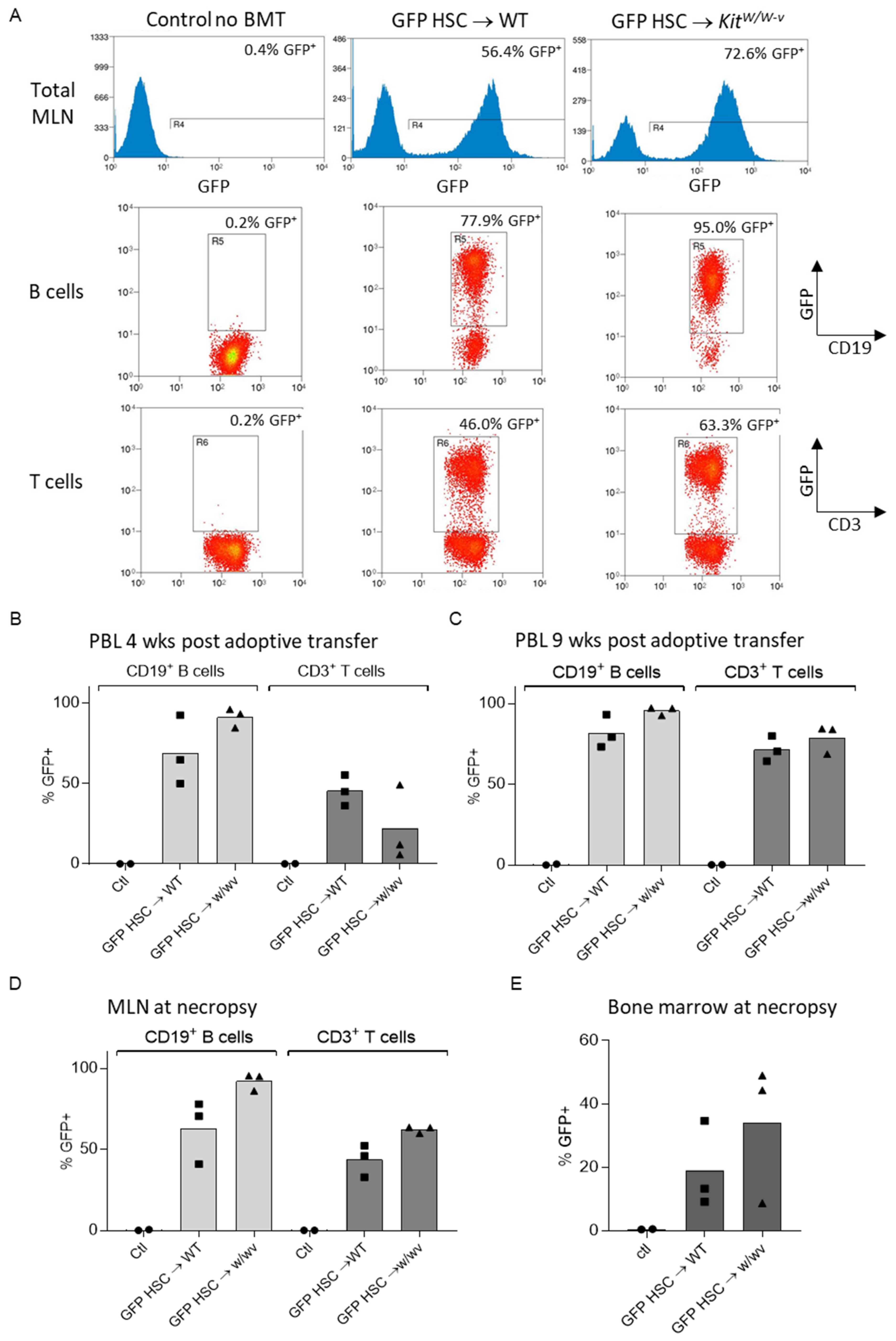 Ijms 25 01980 g002 Ijms 25 01980 g002