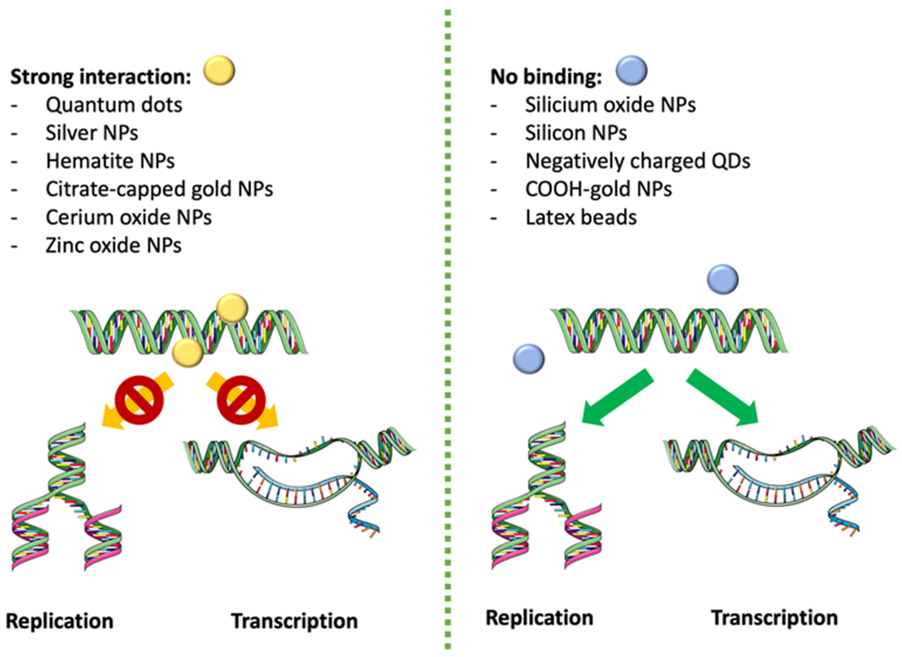 Ijms 25 01983 g002 Ijms 25 01983 g002