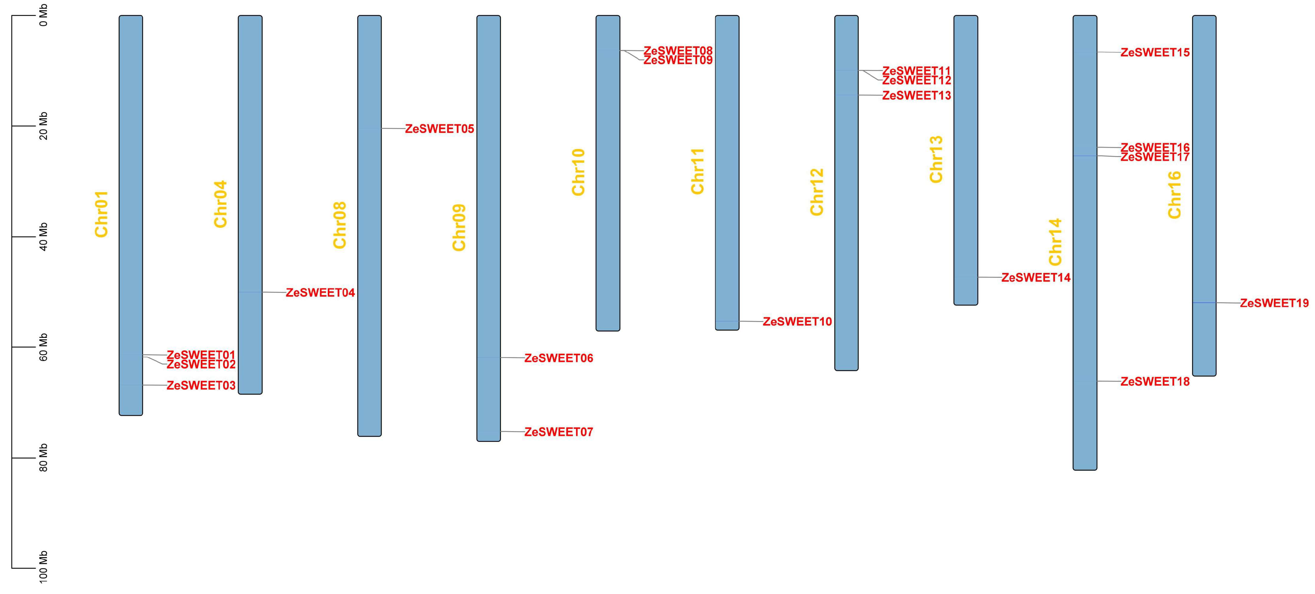 Ijms 25 02004 g001 Ijms 25 02004 g001