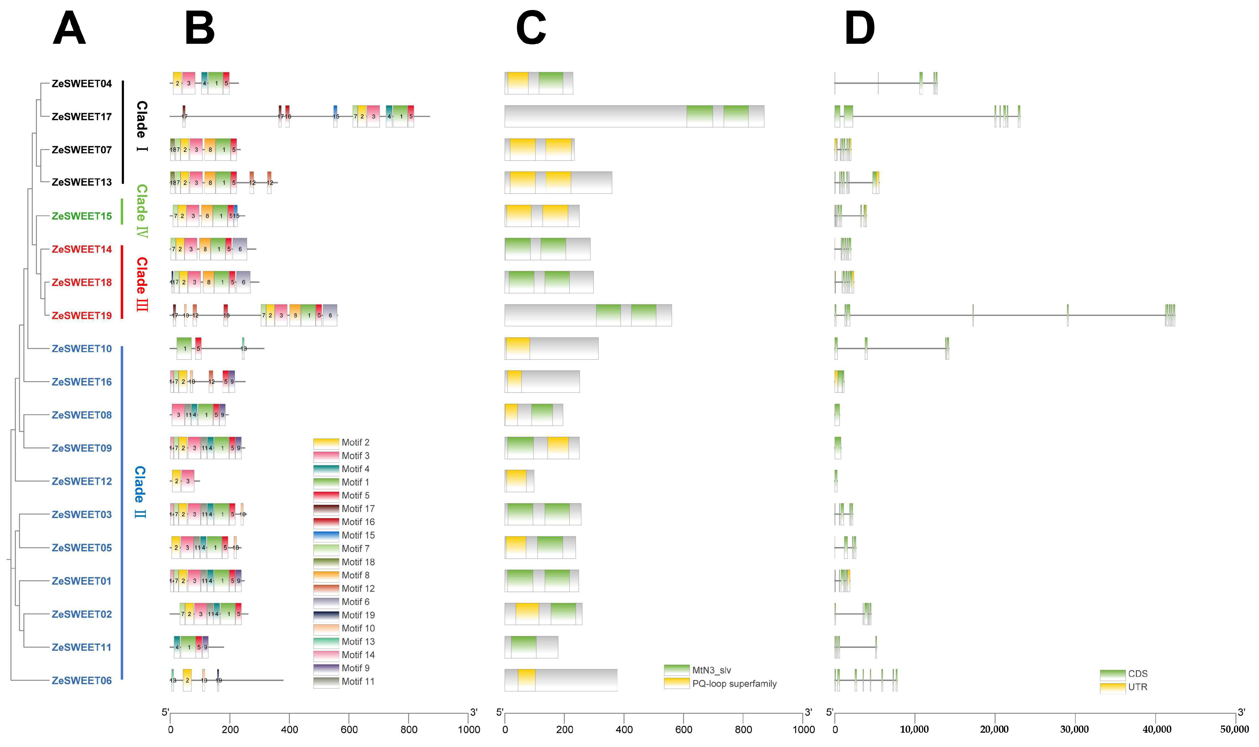 Ijms 25 02004 g003 Ijms 25 02004 g003