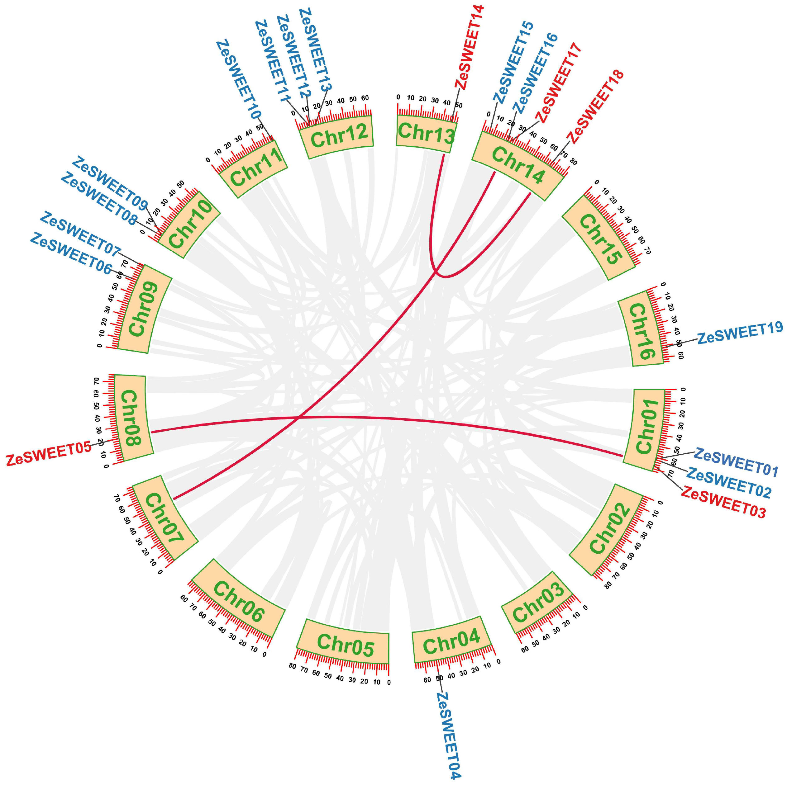 Ijms 25 02004 g005 Ijms 25 02004 g005