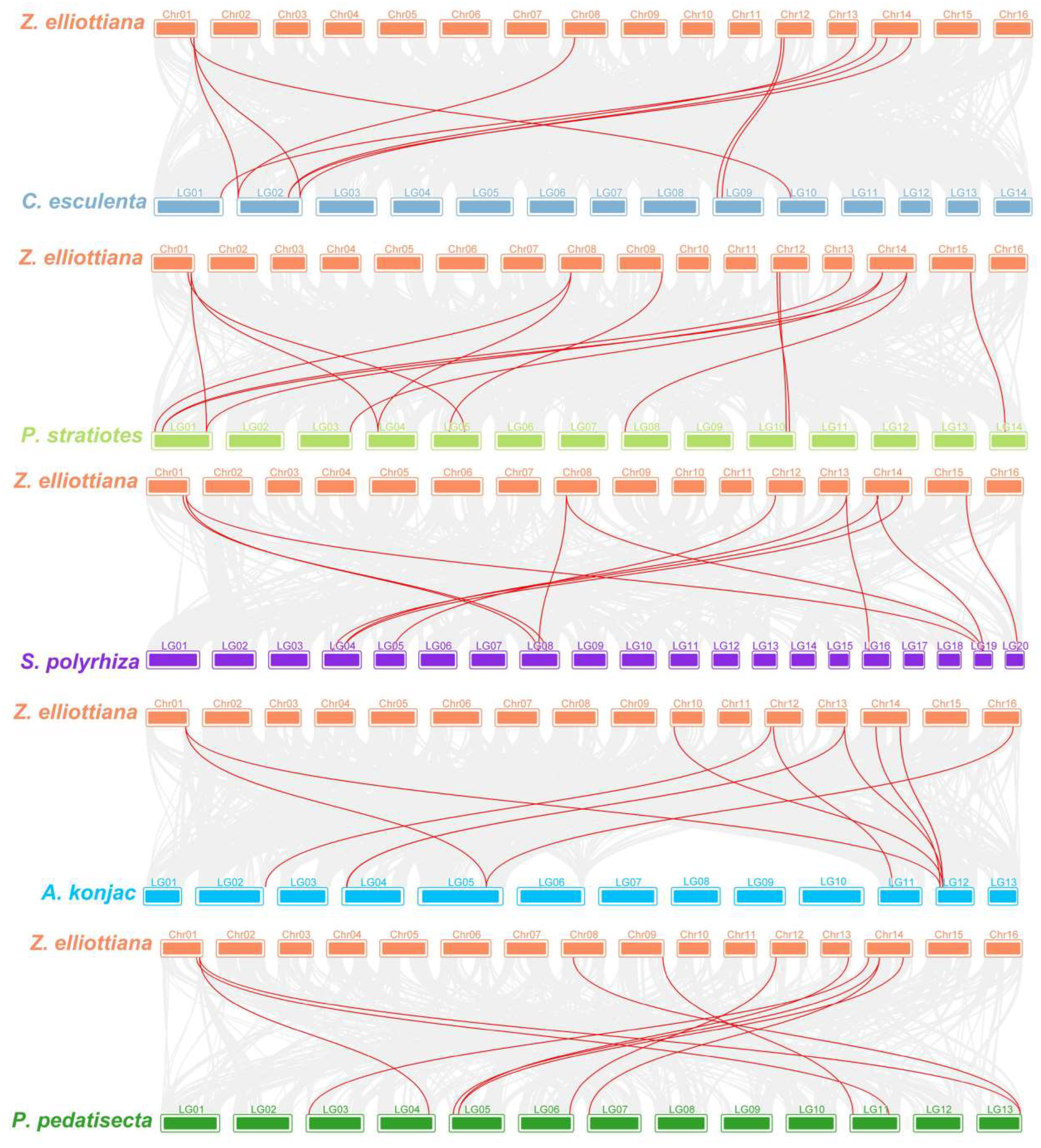 Ijms 25 02004 g006 Ijms 25 02004 g006
