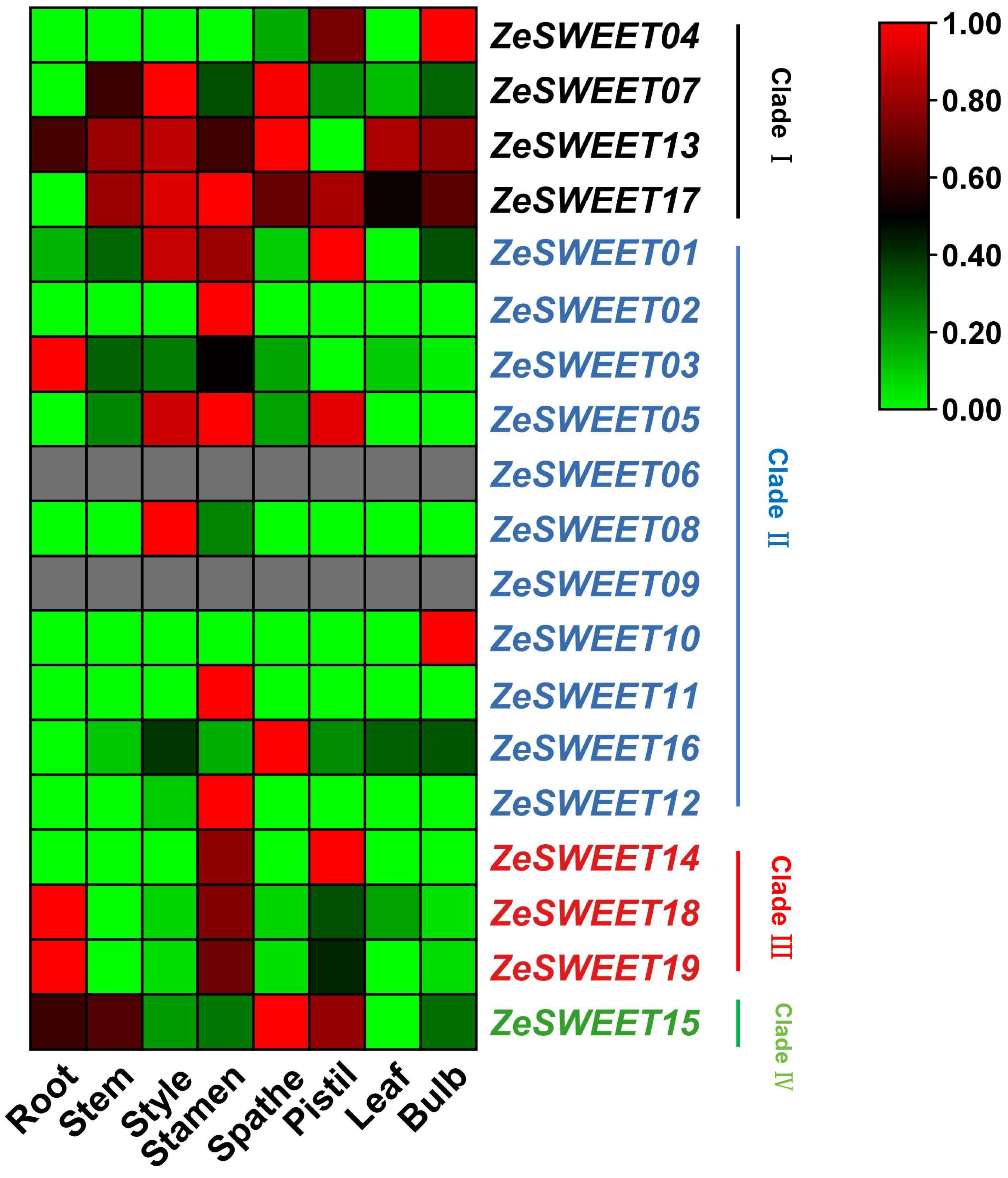 Ijms 25 02004 g007 Ijms 25 02004 g007